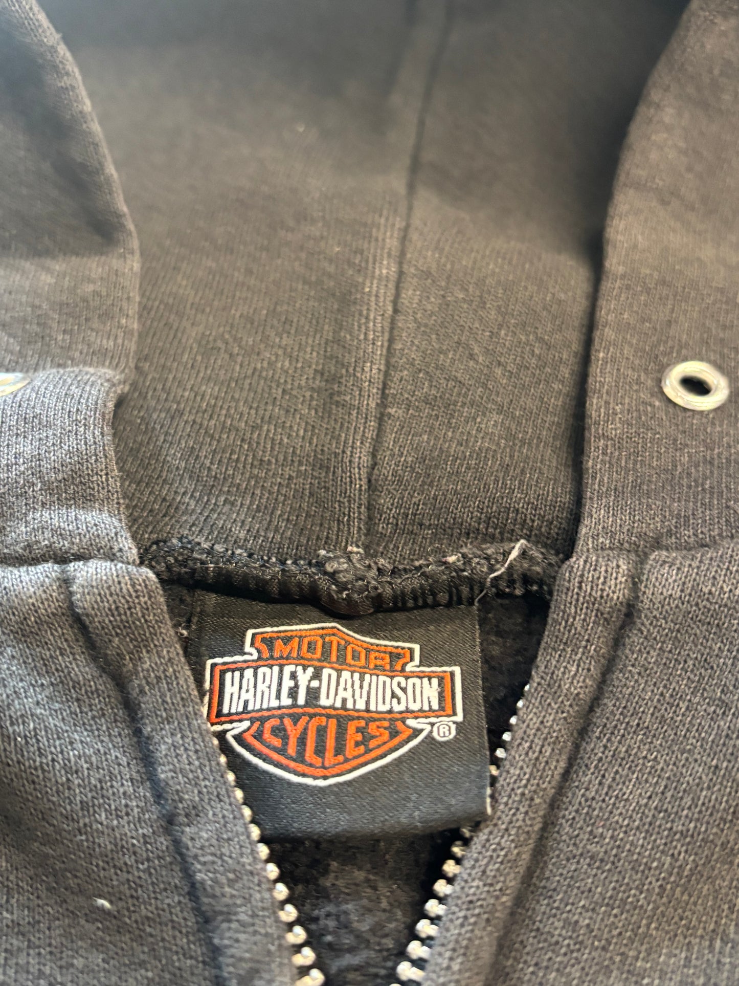 Vintage Harley Davidson Rainbow Flame hoodie size XL