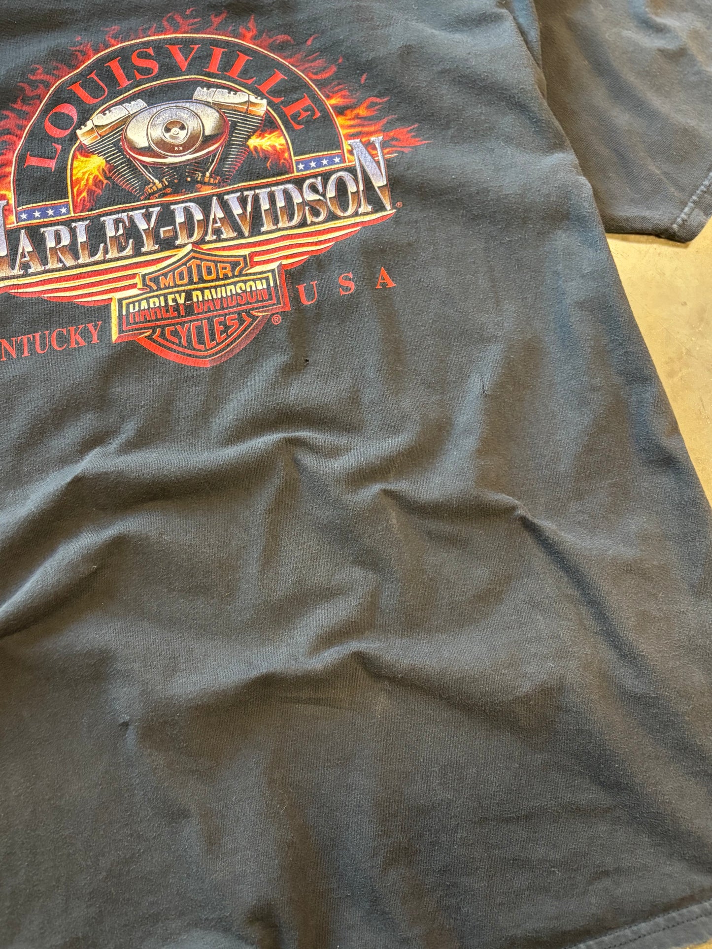 KAW KAW BRRRRRR KAWW KAWW VINTAGE HARLEY EAGLE SHIRT