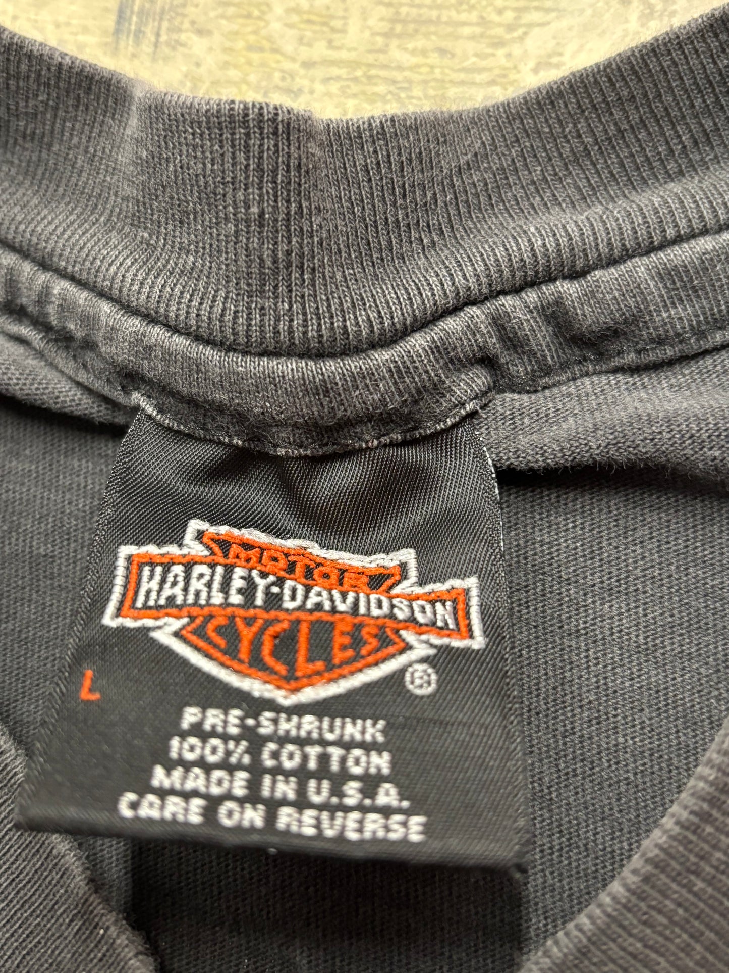 Vintage Harley Davidson Blue Flame V Twin size large