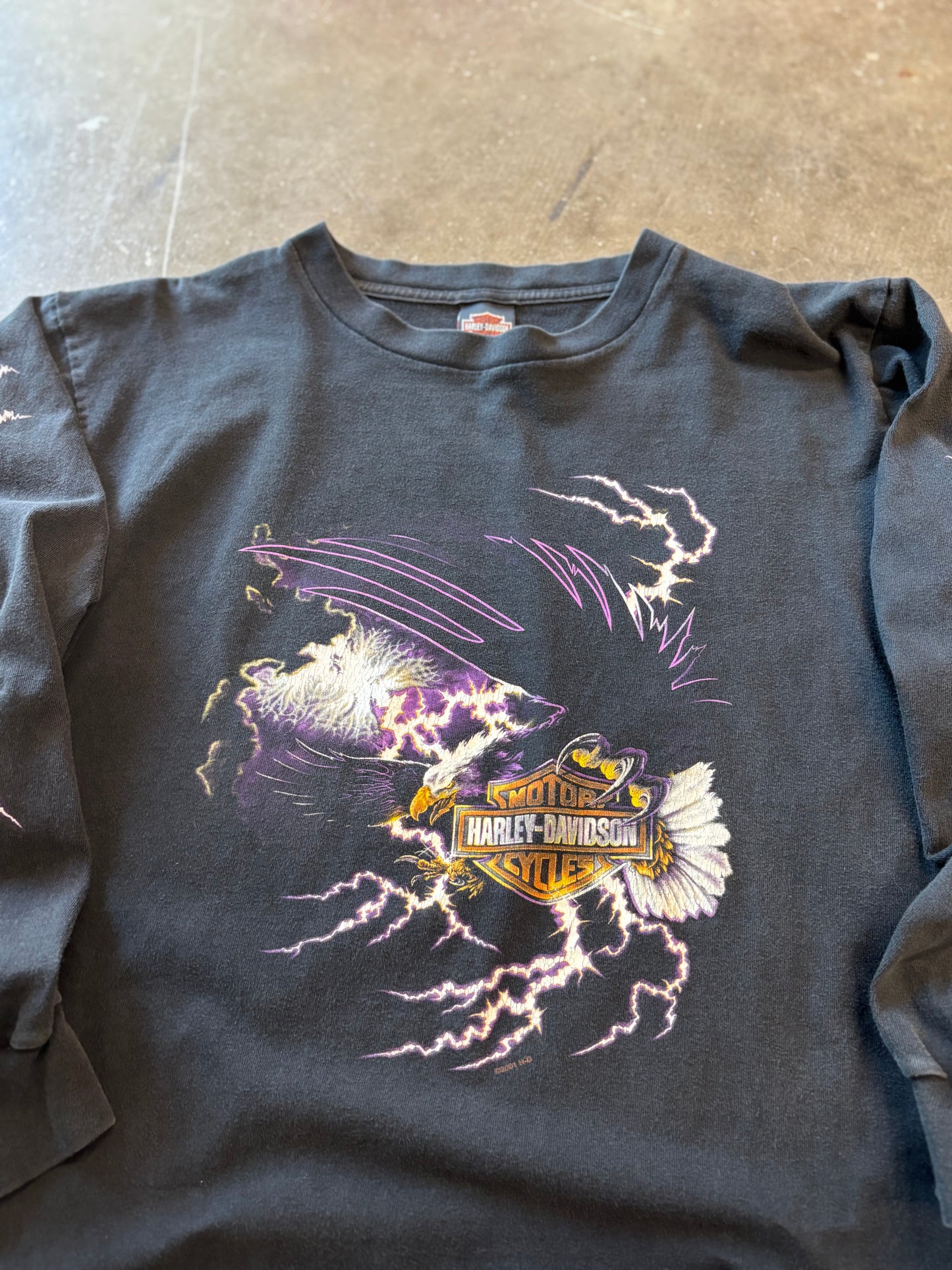 Vintage Harley Lighting Purple Eagle long sleeve size large