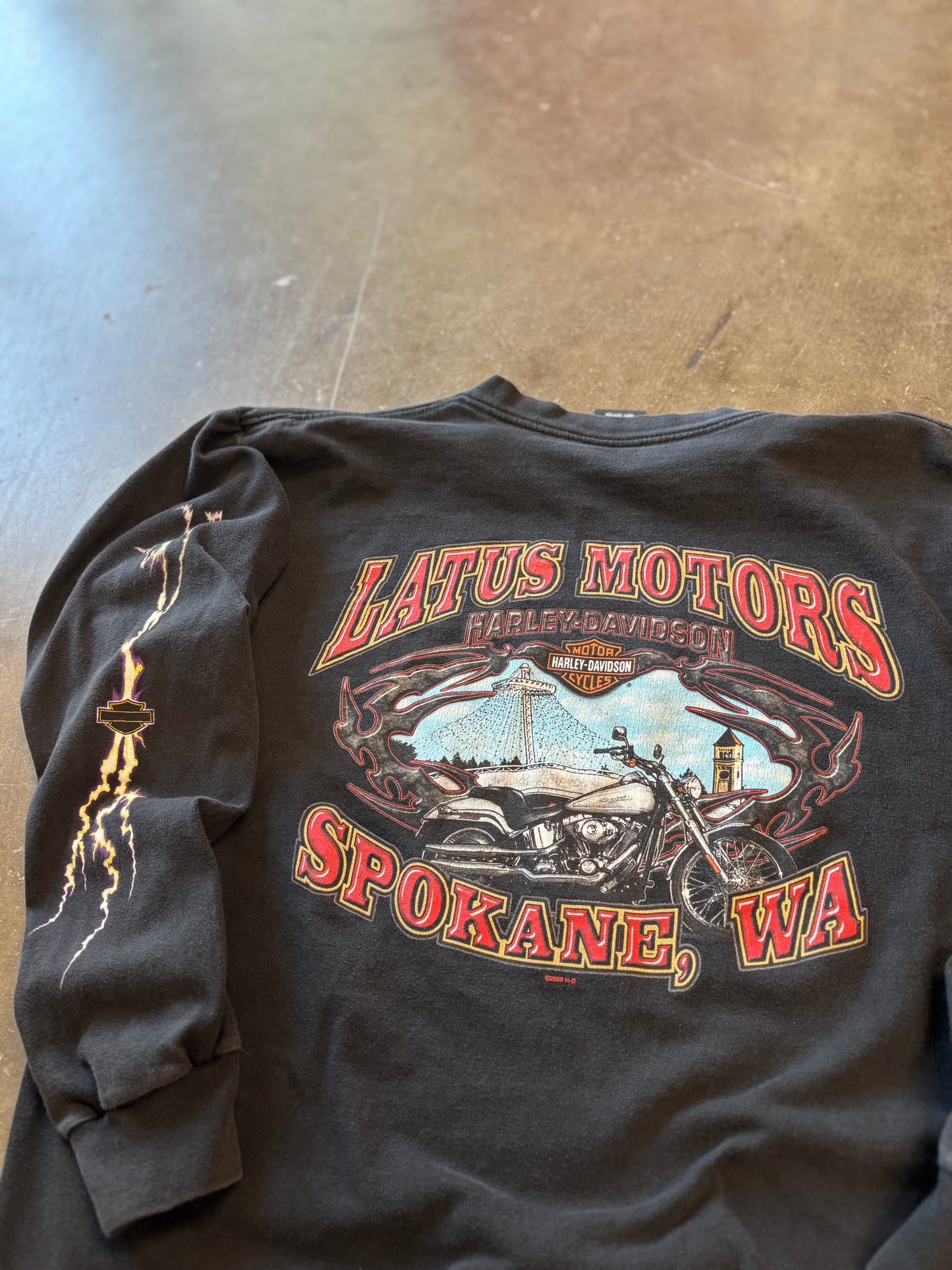 Vintage Harley Lighting Purple Eagle long sleeve size large
