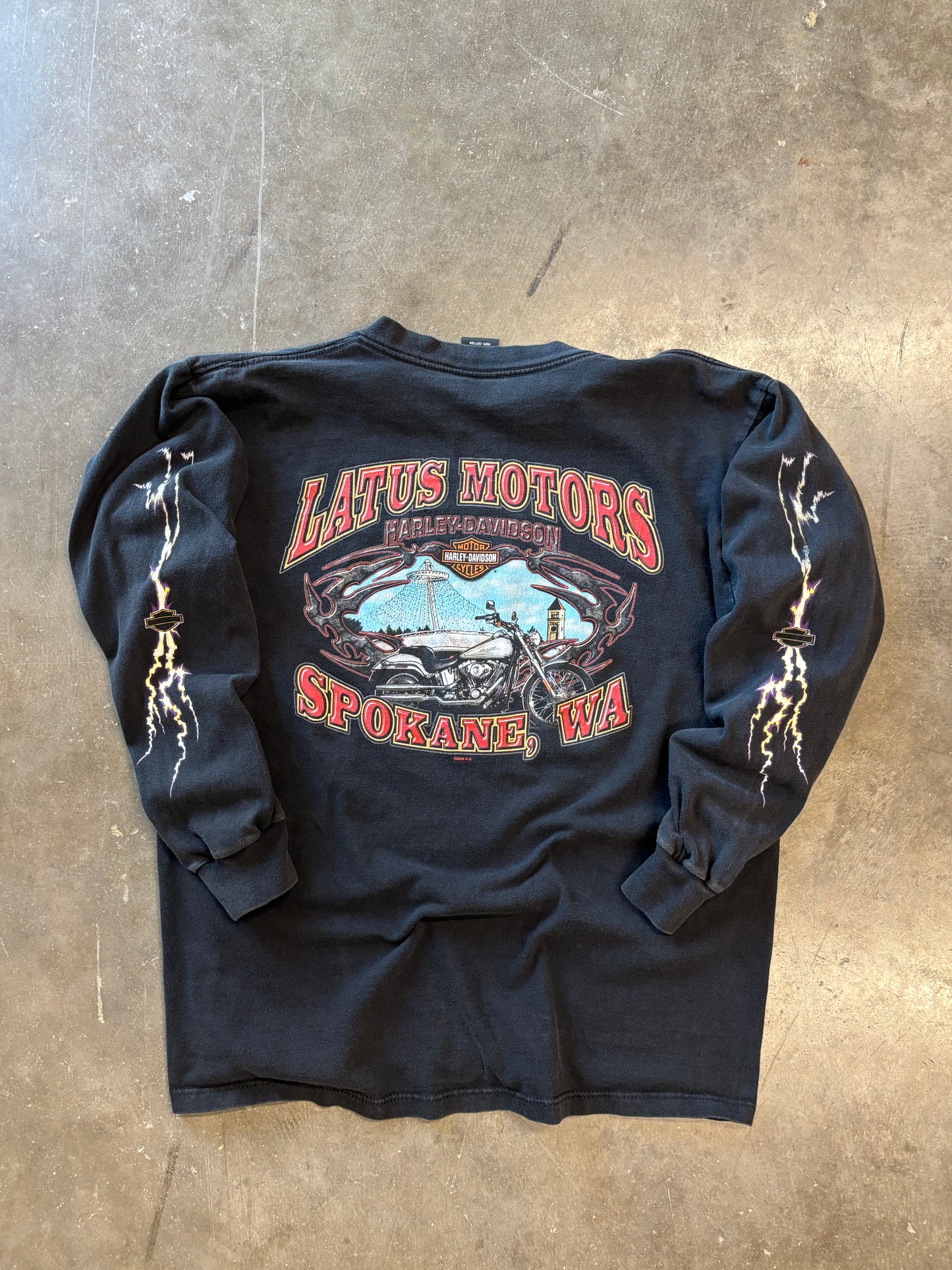 Vintage Harley Lighting Purple Eagle long sleeve size large