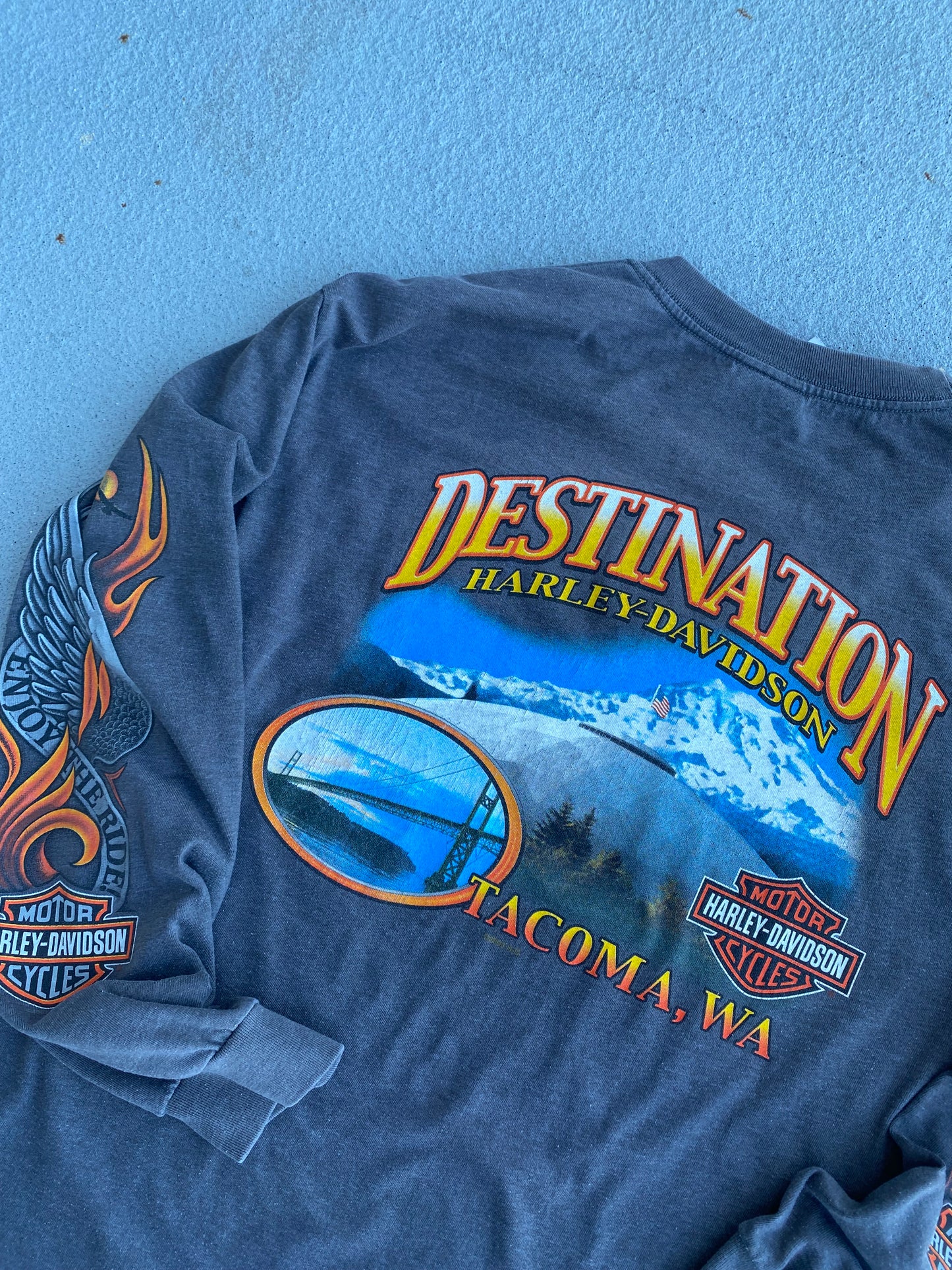 Harley Davidson Eagle Flames Long Sleeve size large