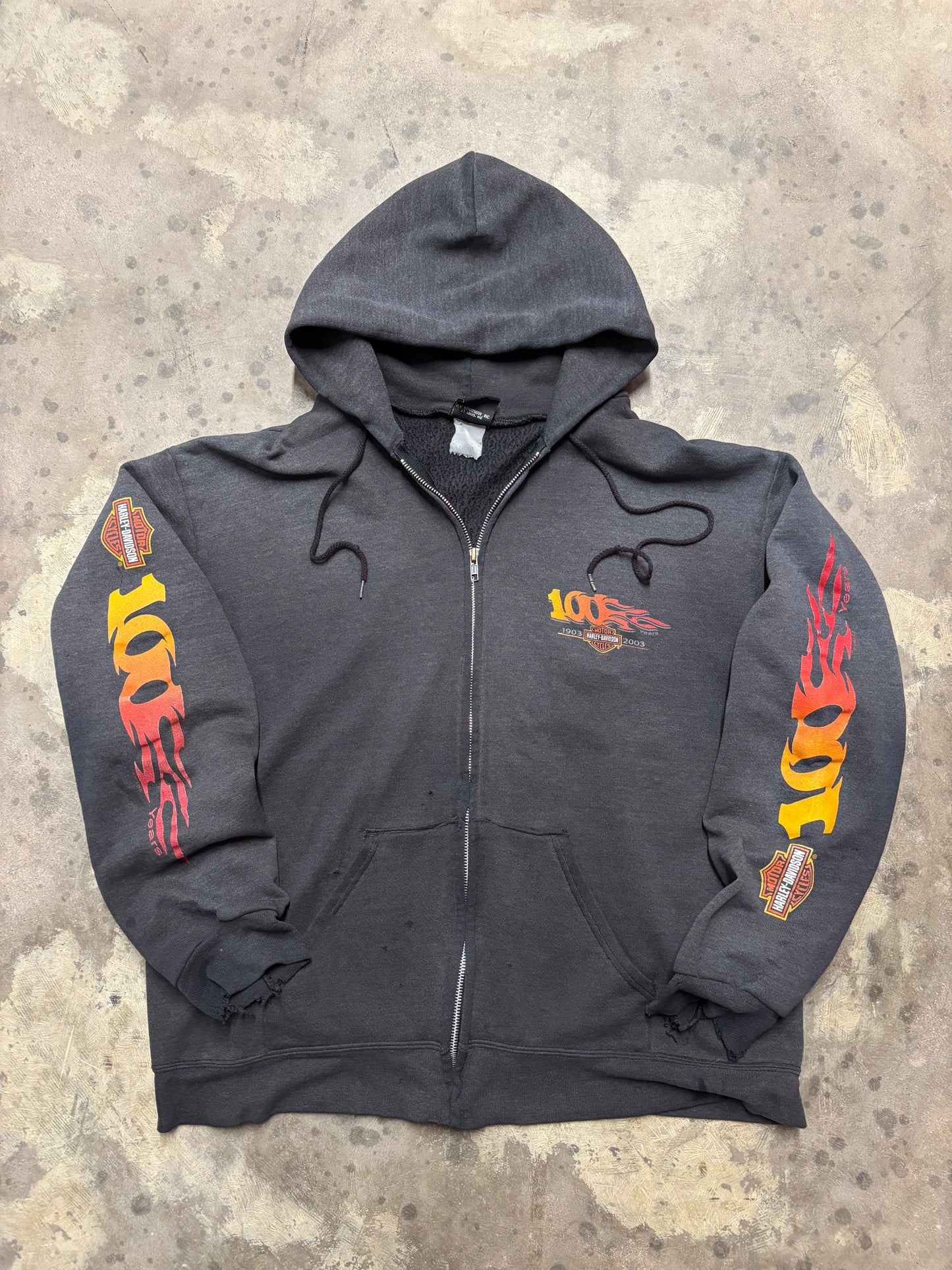 Vintage Harley Davidson 100 Years faded zip up hoodie size XL