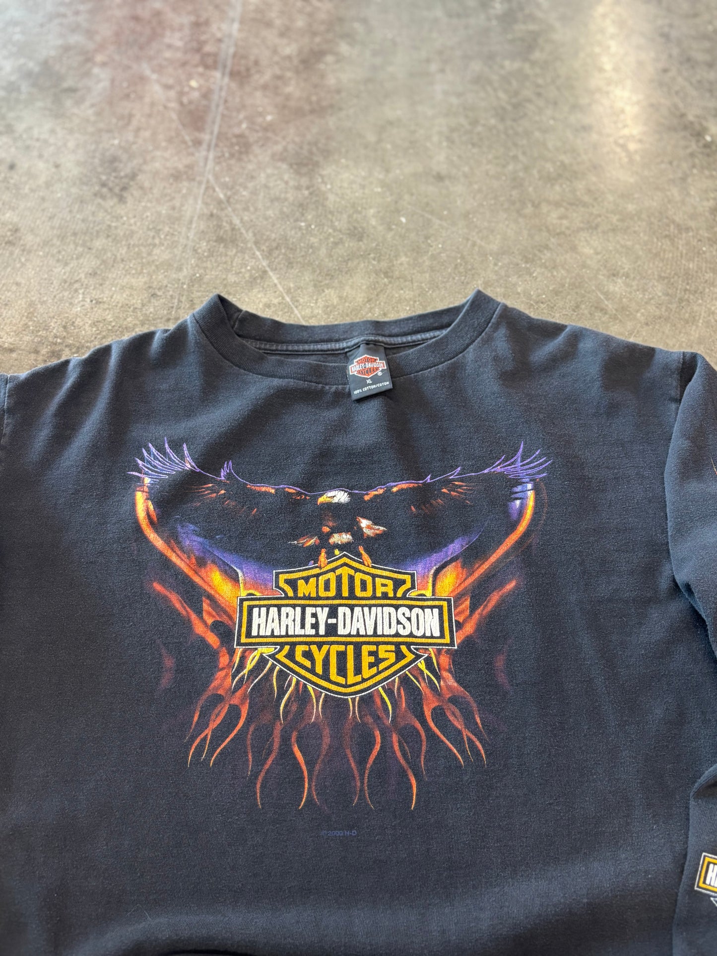 Vintage Harley Davidson Purple Eagle long sleeve size XL