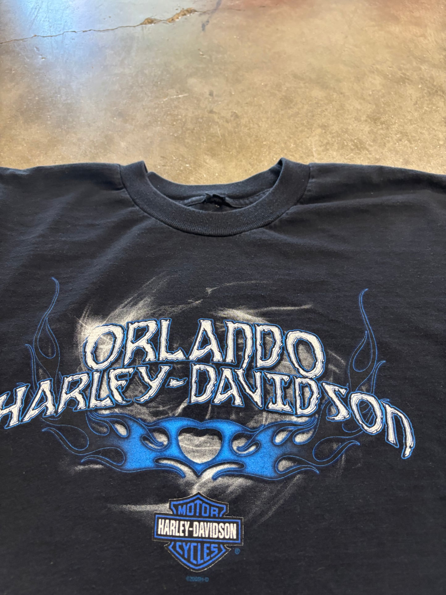Vintage Harley Davidson Blue flame long sleeve size XL