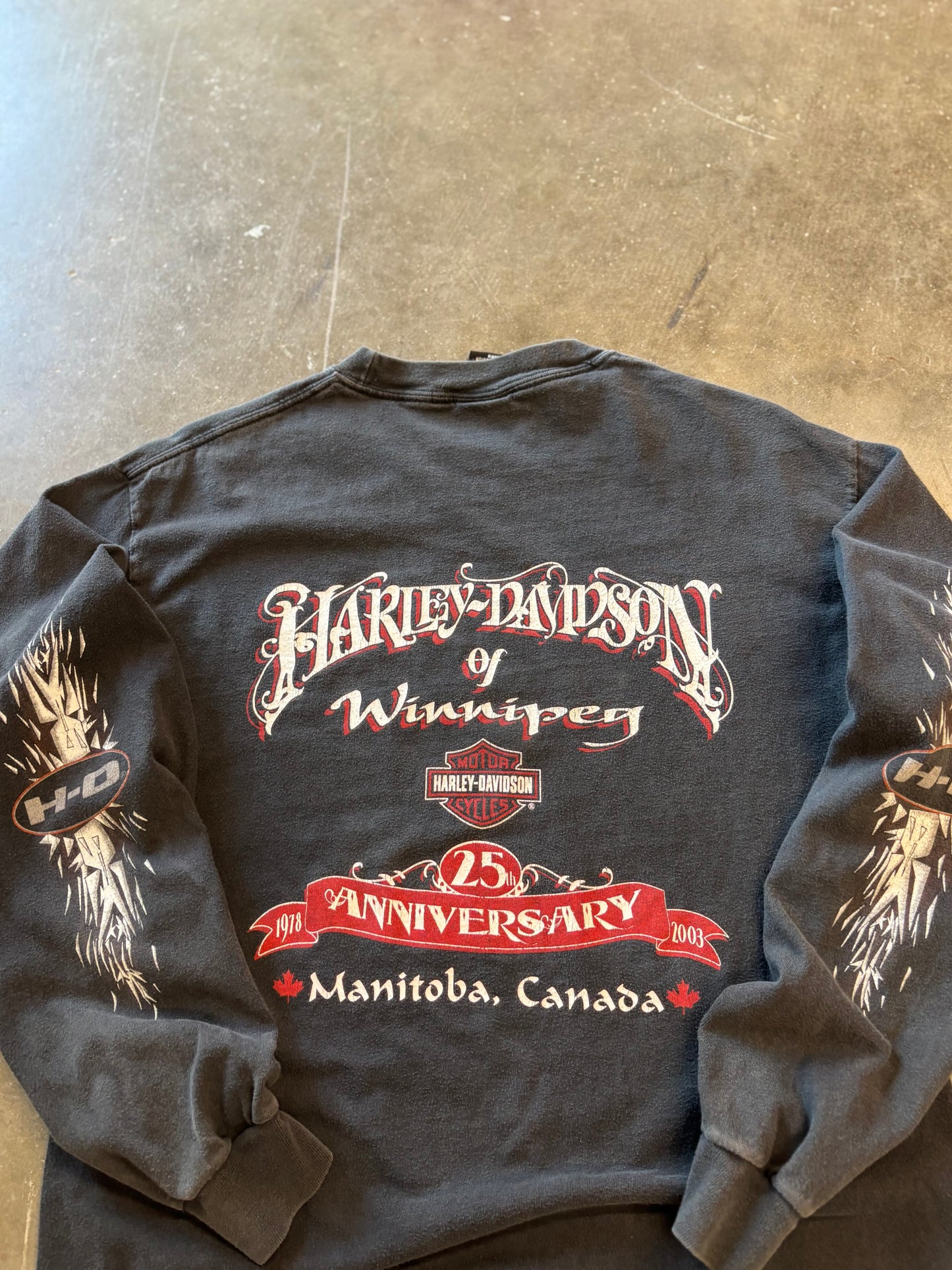 Vintage Harley Davidson Shattered long sleeve size medium