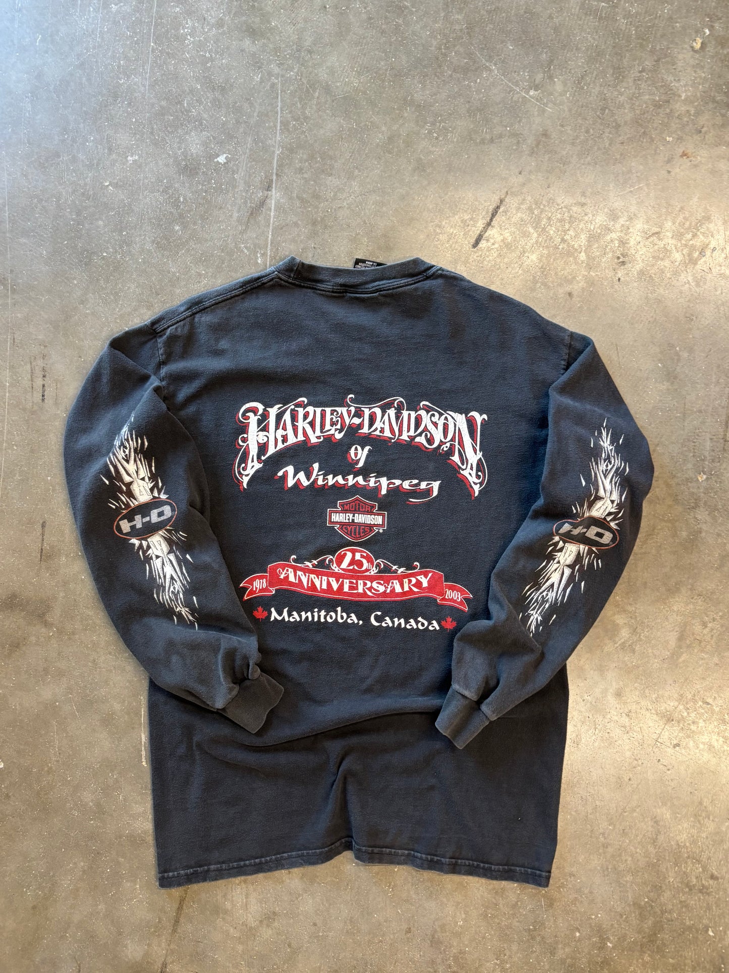 Vintage Harley Davidson Shattered long sleeve size medium