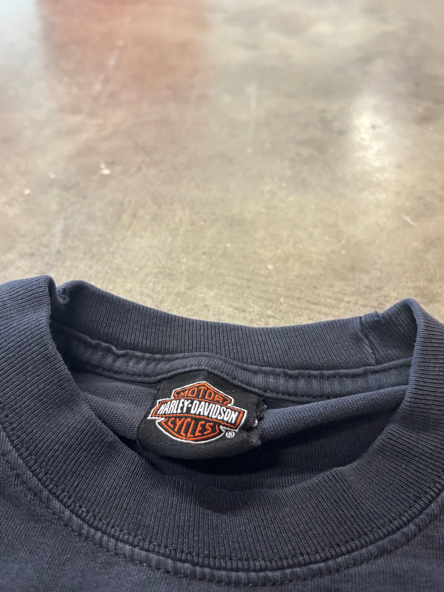 Vintage Harley Davidson Inferno Longsleeve size medium