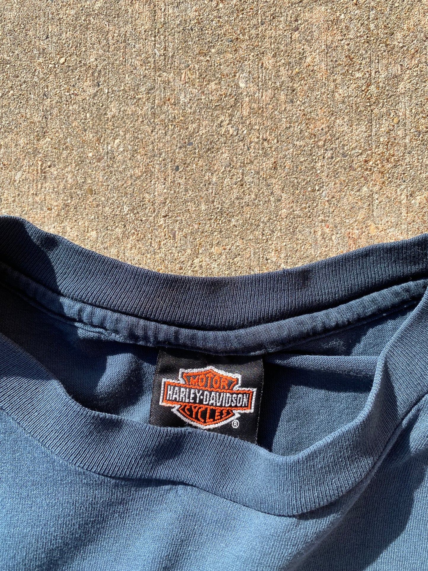 Vintage Harley Davidson Rainbow long sleeve Size XL