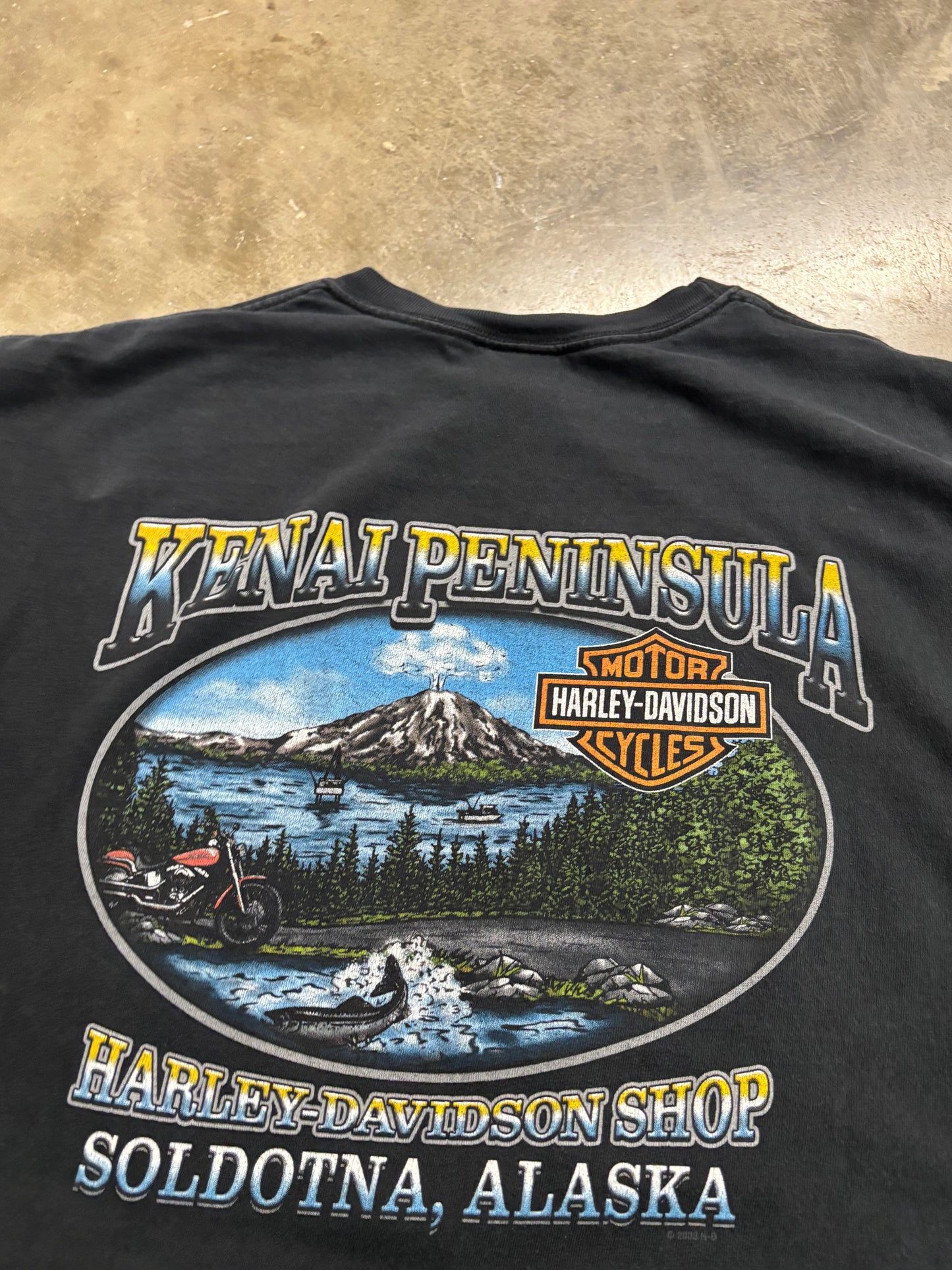 Vintage Harley Davidson Blue flame center shirt size xl