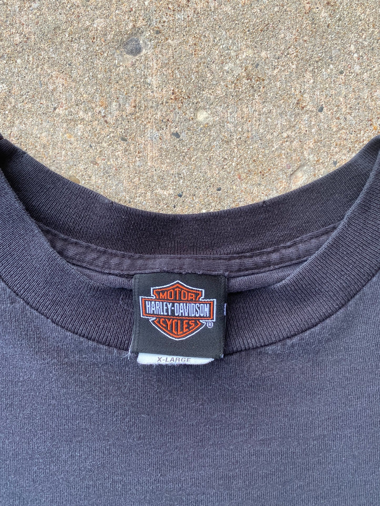 Vintage Harley Davidson SpiderWeb shirt Size XL