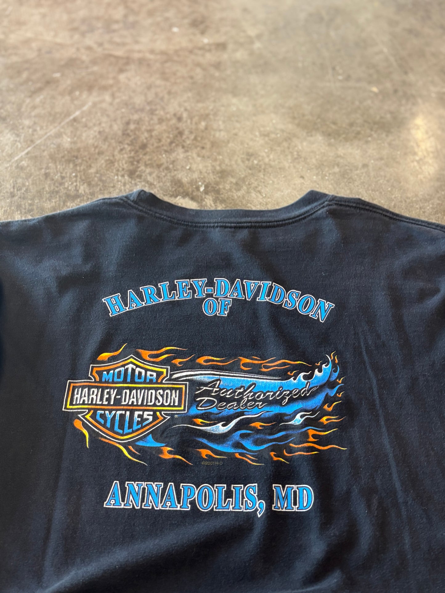 Vintage Harley Davidson Eagle long sleeve size xl