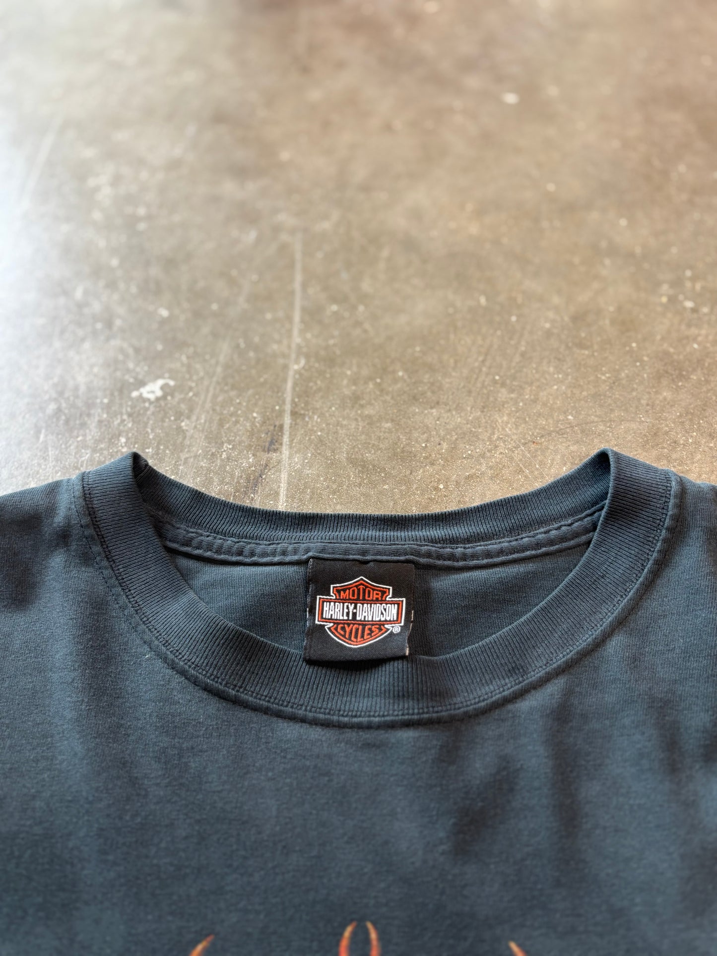 Vintage Harley Davidson Pipes long sleeve size xxl