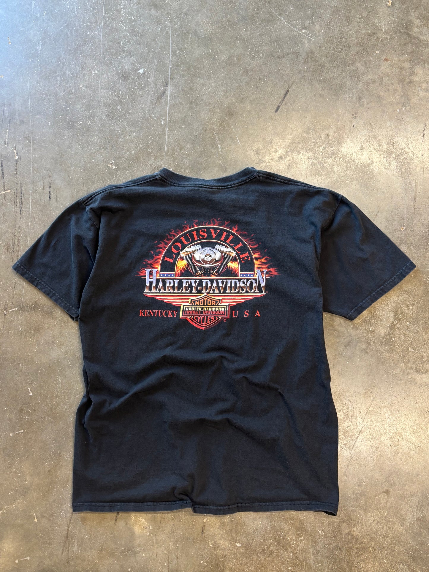 KAW KAW BRRRRRR KAWW KAWW VINTAGE HARLEY EAGLE SHIRT