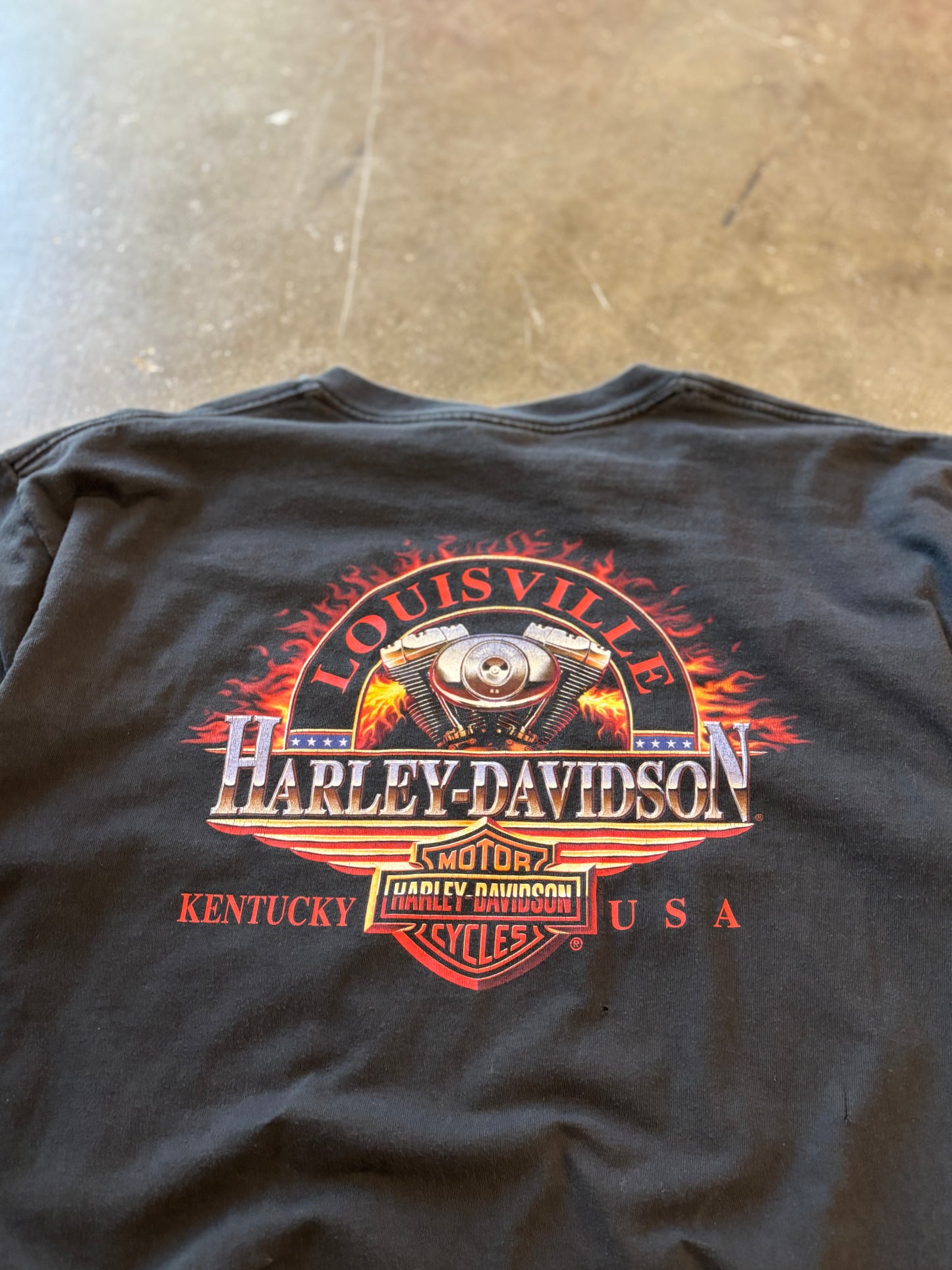 KAW KAW BRRRRRR KAWW KAWW VINTAGE HARLEY EAGLE SHIRT
