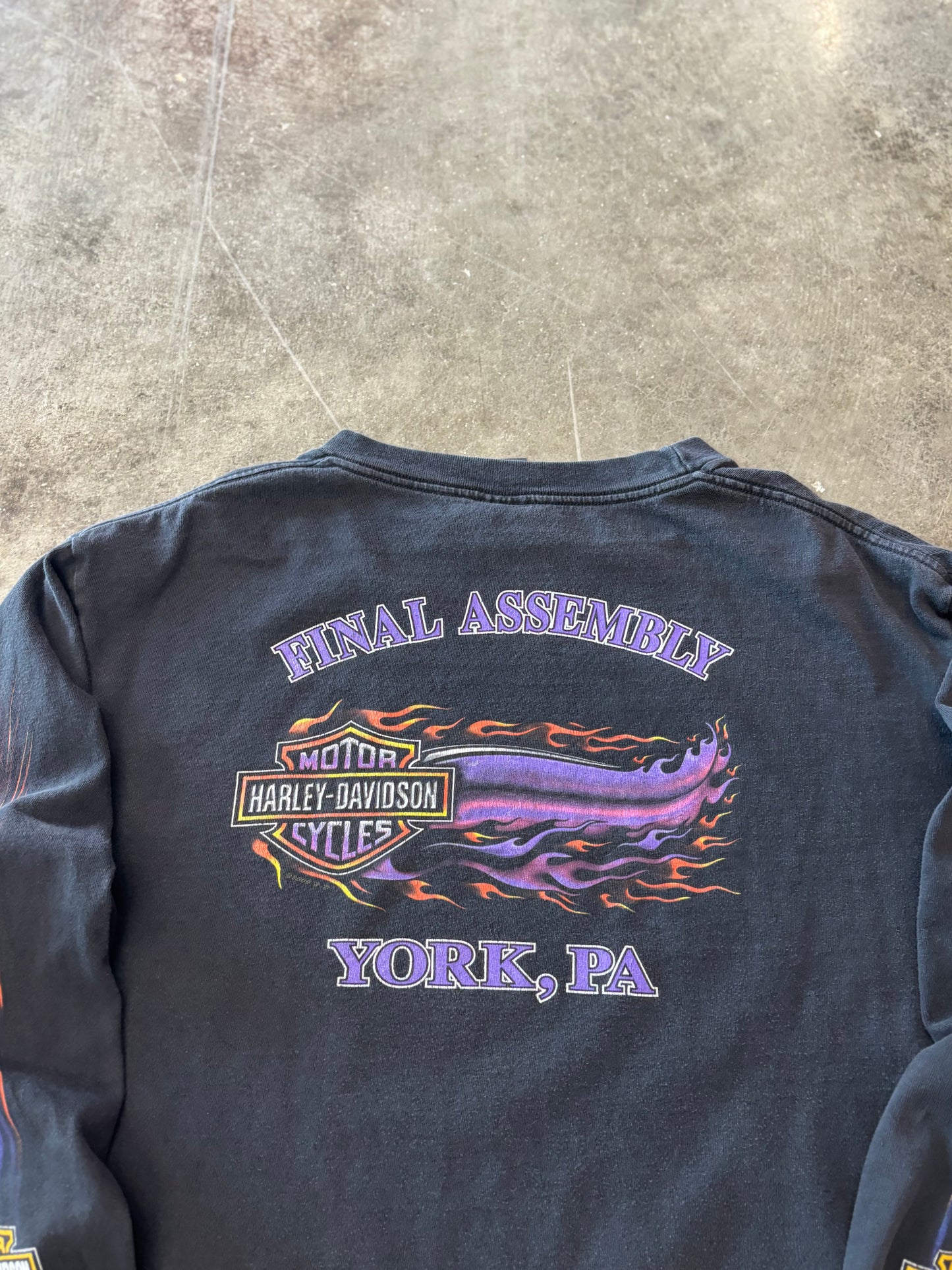 Vintage Harley Davidson Purple Eagle long sleeve size XL