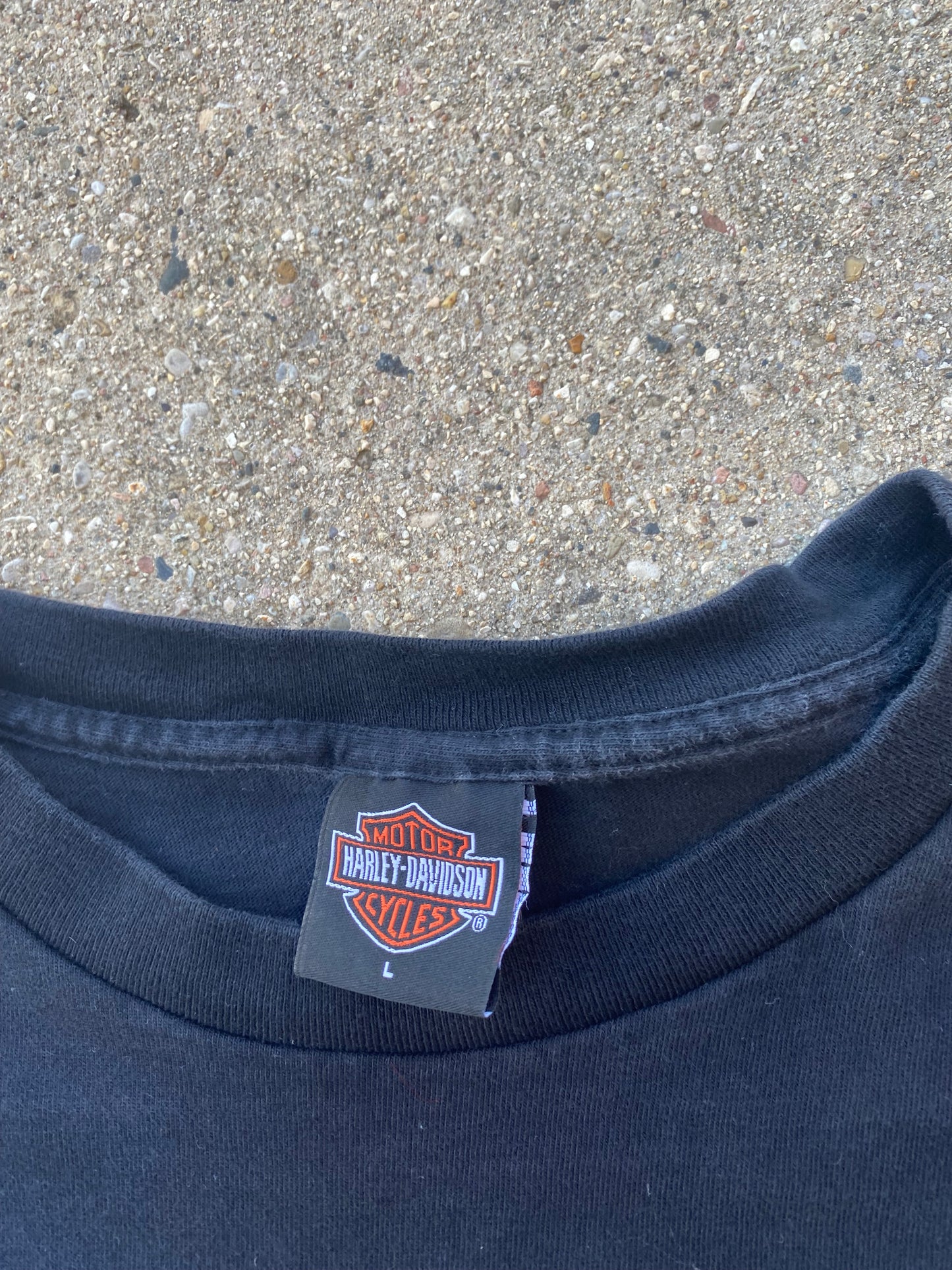 Vintage Harley Davidson Sleeper pick long sleeve shirt size large