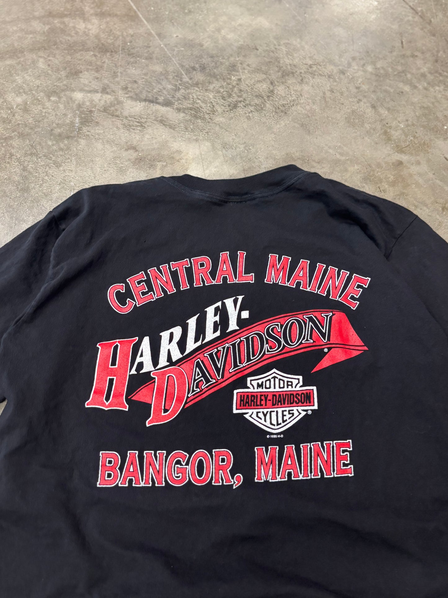 Vintage Harley Davidson magma shirt size large