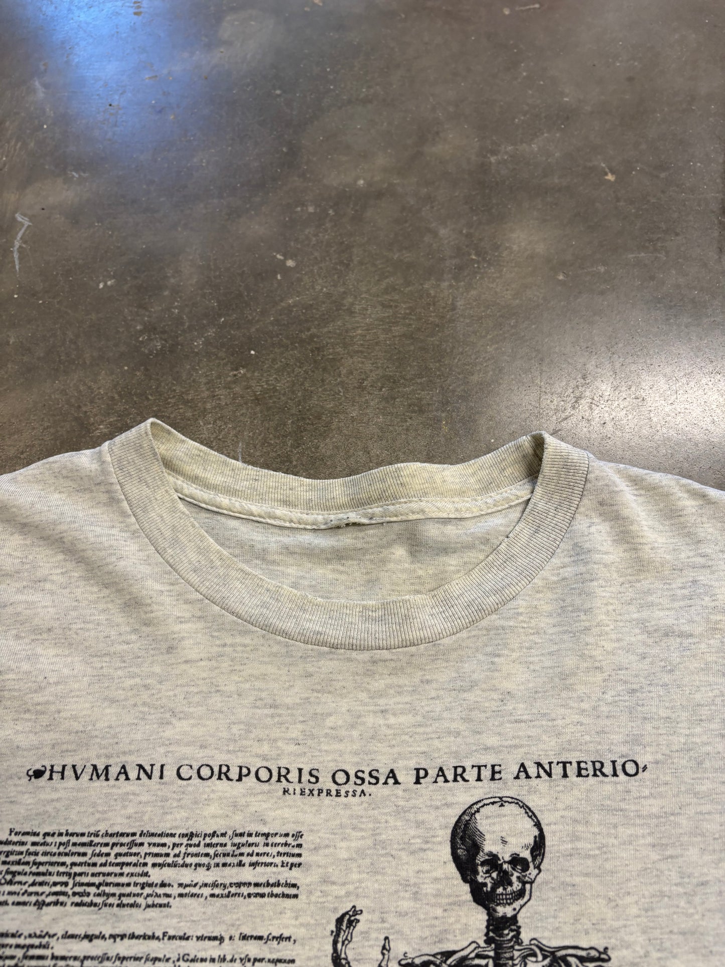 Vintage Anatomy shirt size large