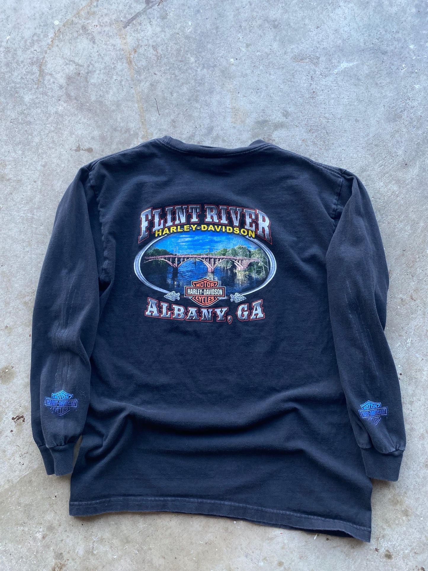 Vintage Harley Davidson Wolf Blue flame long sleeve size large