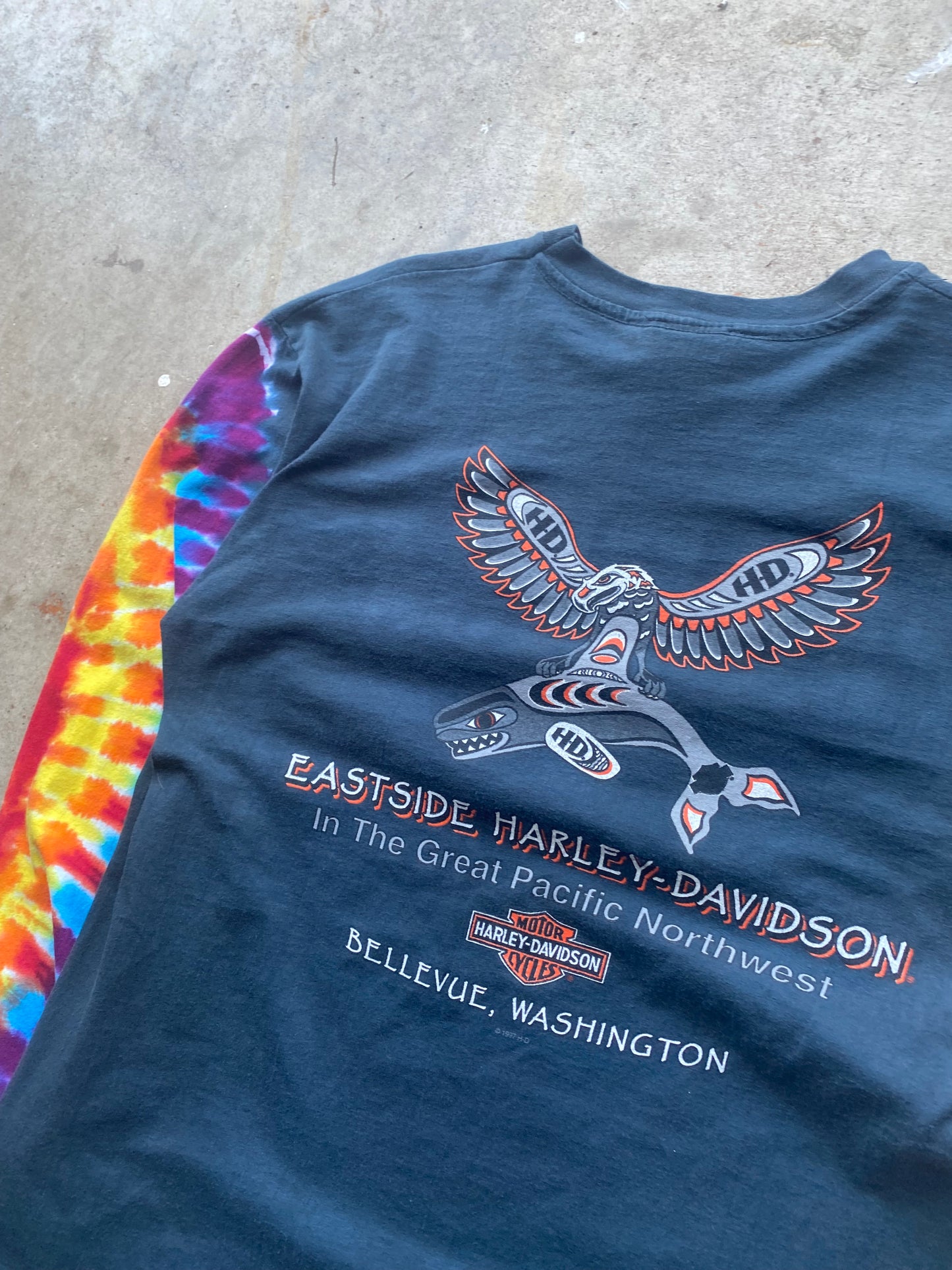 Vintage Harley Davidson rainbow long sleeve shirt size extra large