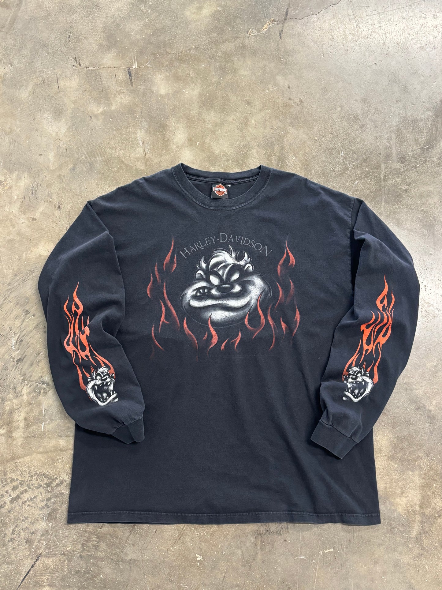 Vintage Harley Davidson Taz looney tunes flame long sleeve size xxl