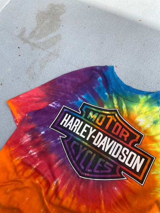 Vintage Harley Davidson Rainbow Shield Size Large