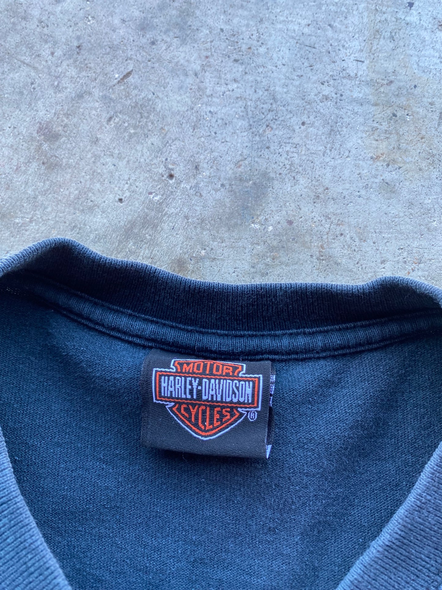 Vintage Harley Davidson Blue Flame Spellout size large