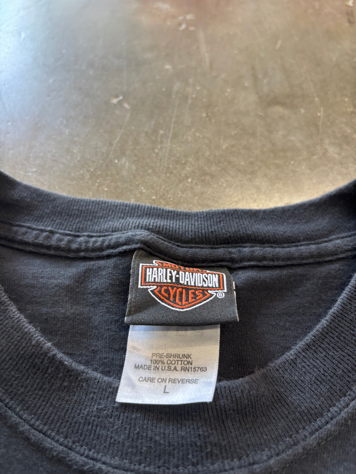 Vintage Harley Davidson blue flame shirt size large