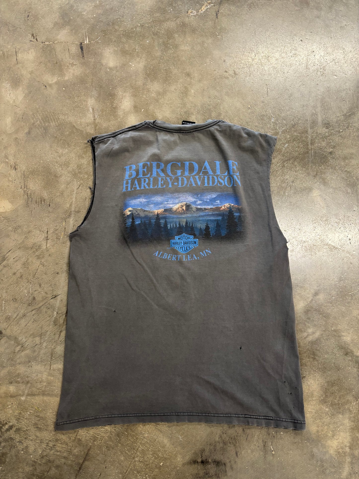 Vintage Harley Davidson skull chop size large faderrr