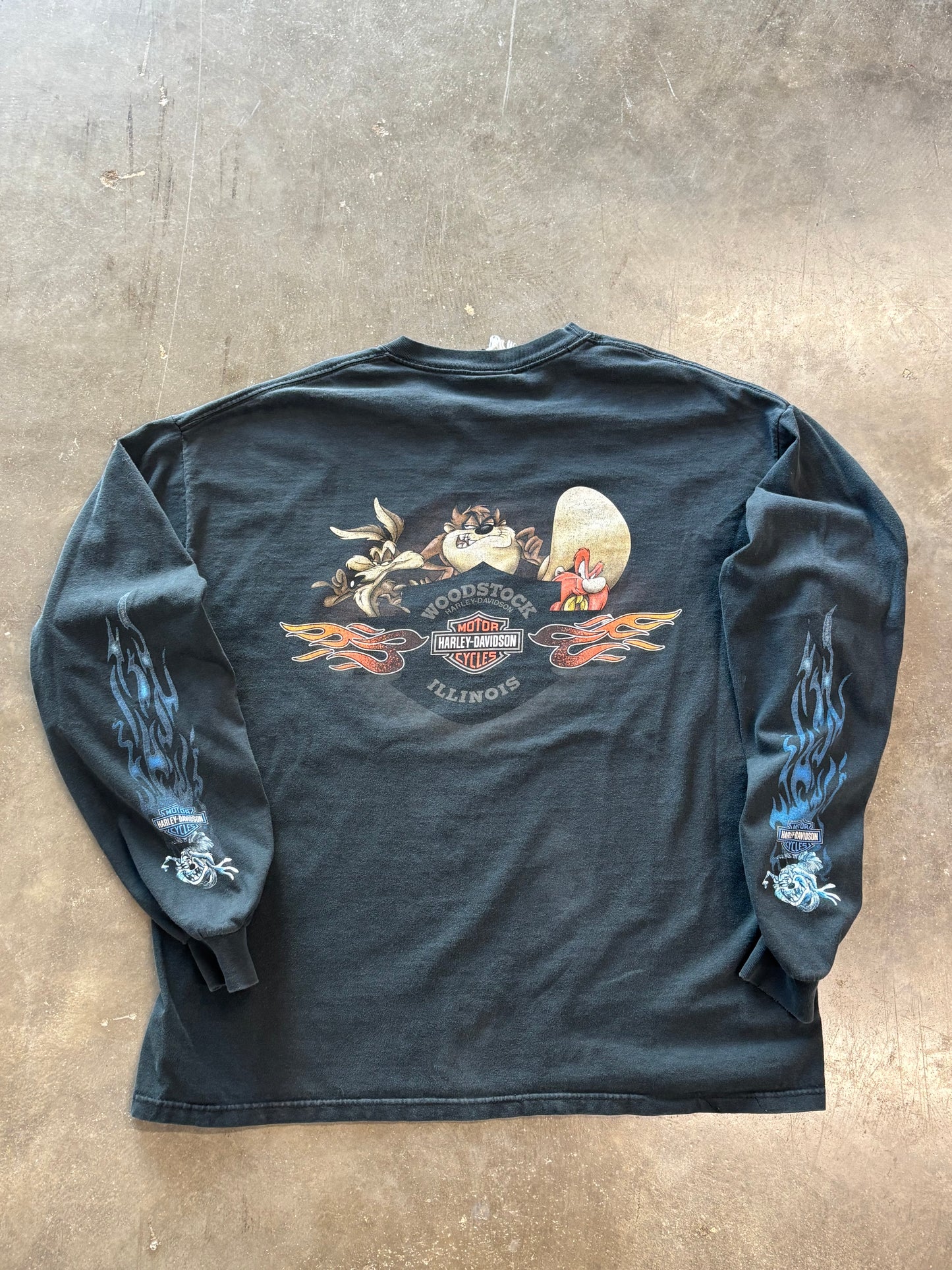 Vintage Looney Tunes Taz long sleeve size xl
