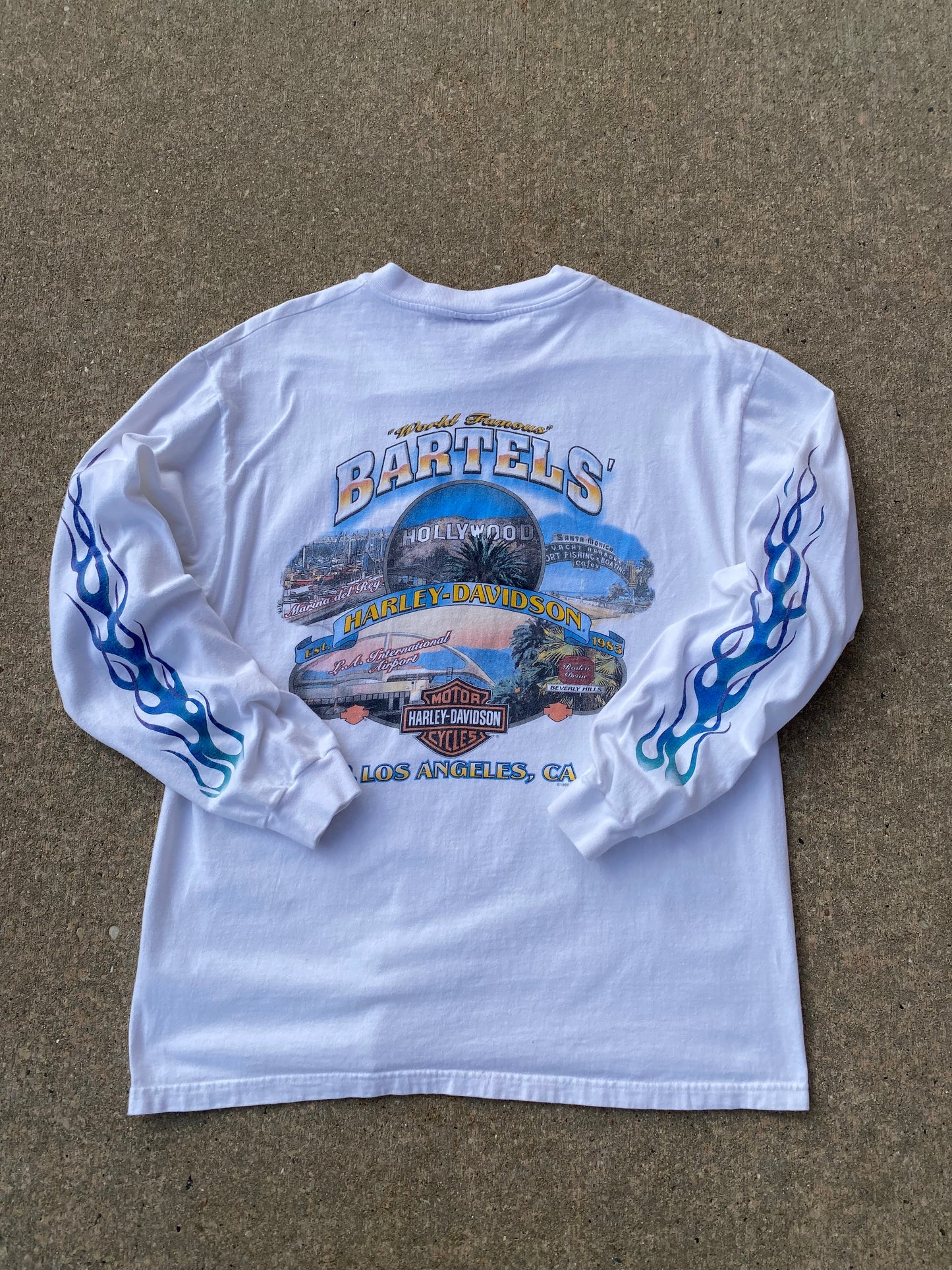 Vintage Harley Davidson Eagle Blue Flame Long sleeve Size Large