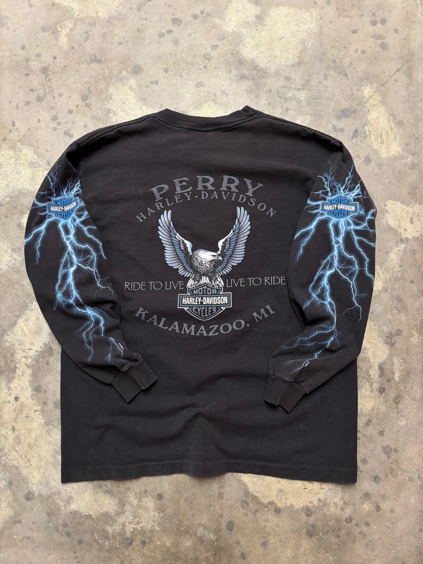 Vintage Harley Davidson Lightning long sleeve size large