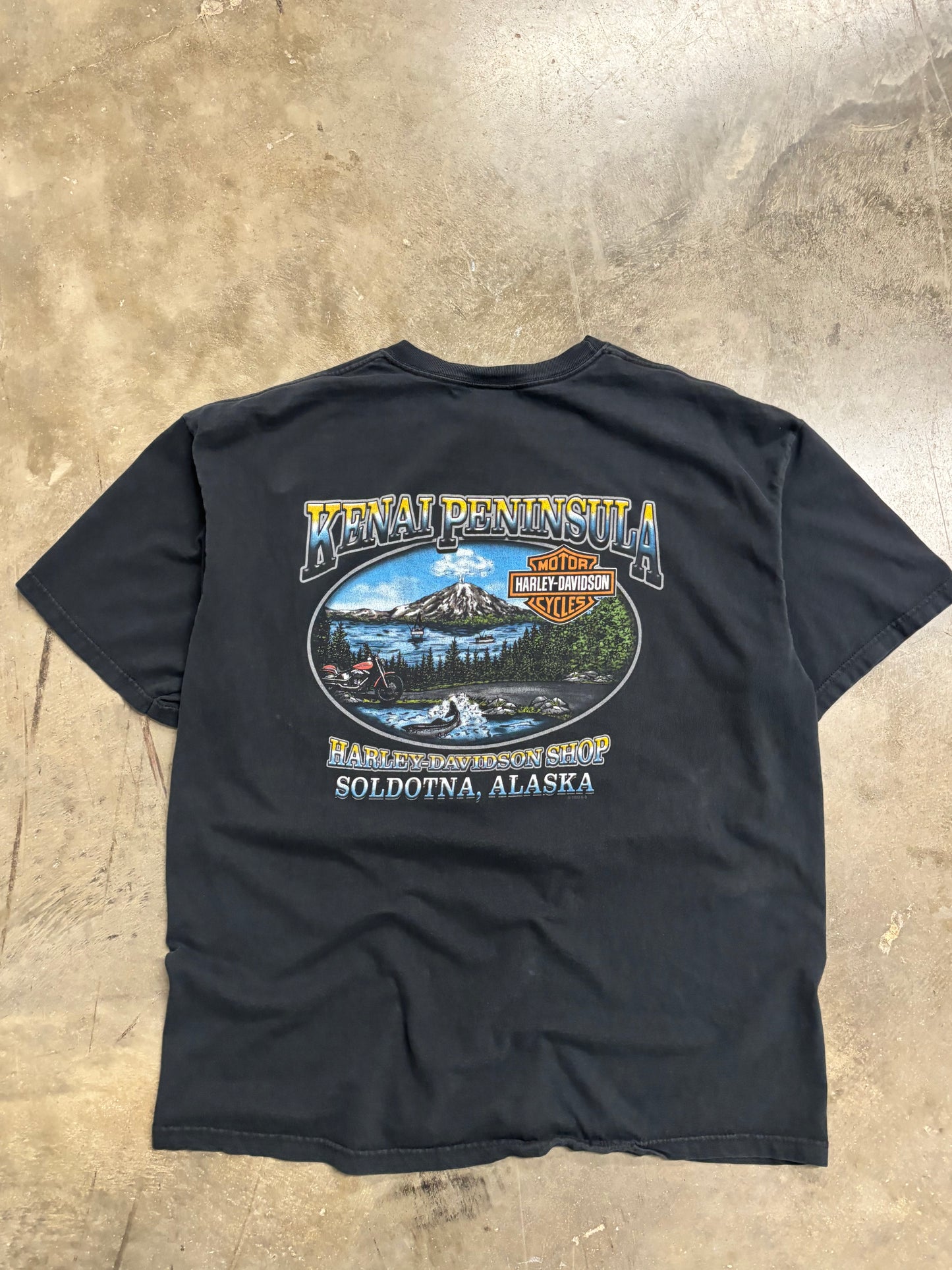 Vintage Harley Davidson Blue flame center shirt size xl