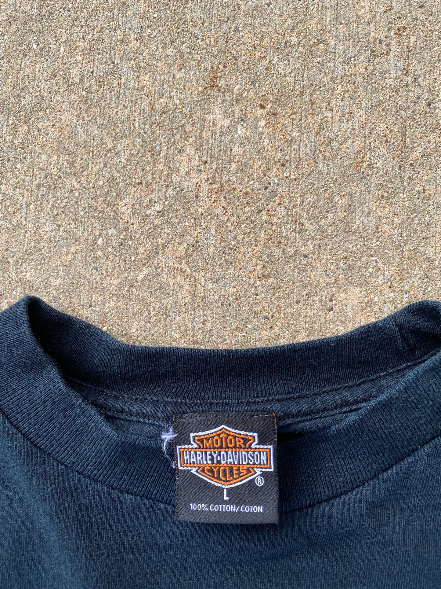 Vintage Harley Davidson Blue flames size large