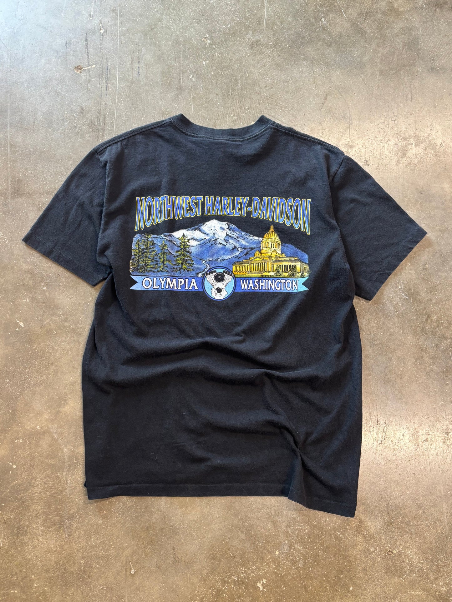 Vintage Harley Davidson Art shirt size large
