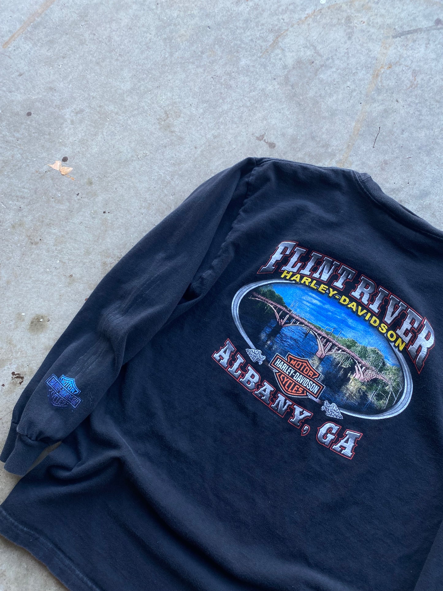 Vintage Harley Davidson Wolf Blue flame long sleeve size large