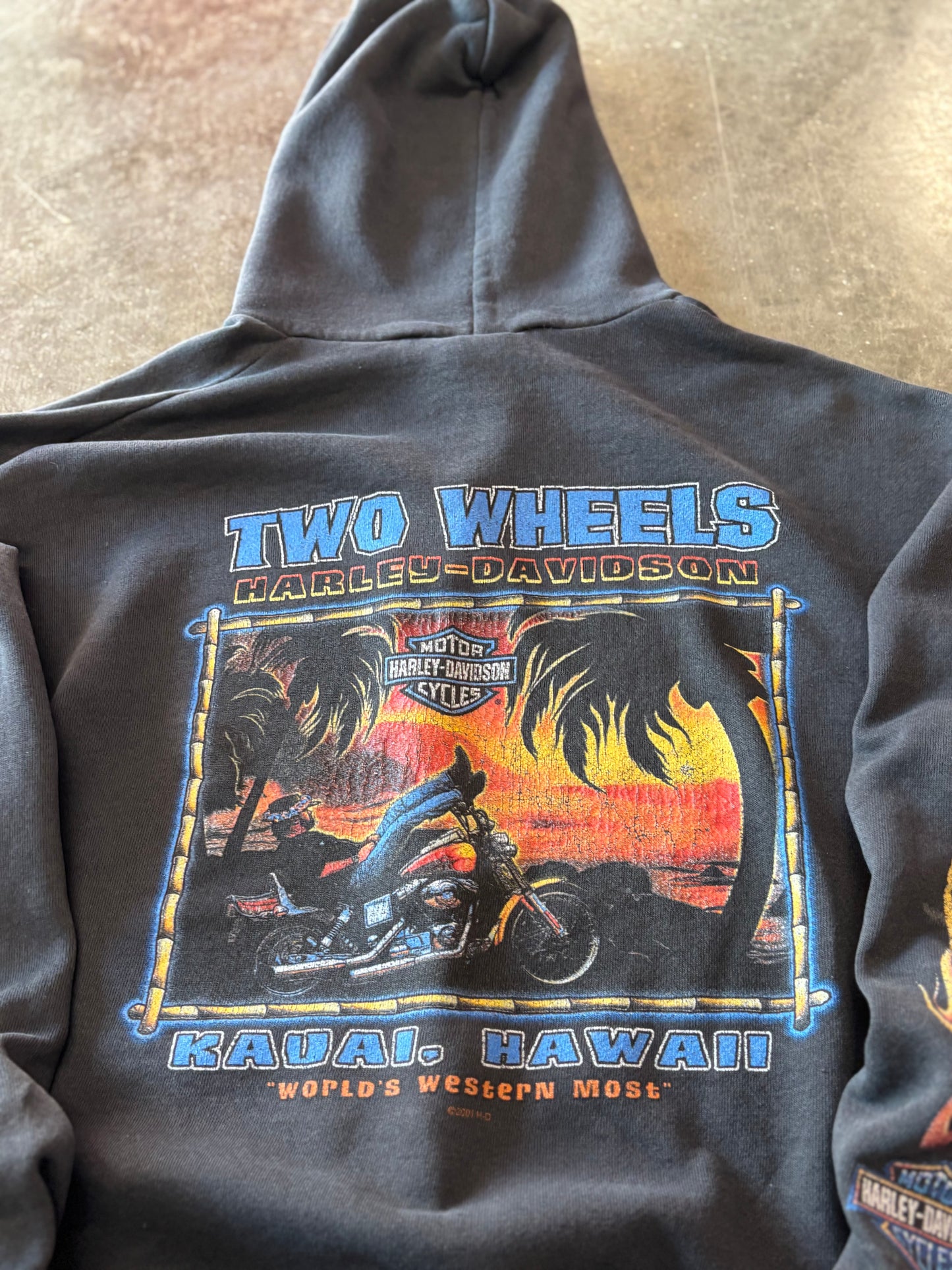 Vintage Harley Davidson thrashed zip up hoodie size large