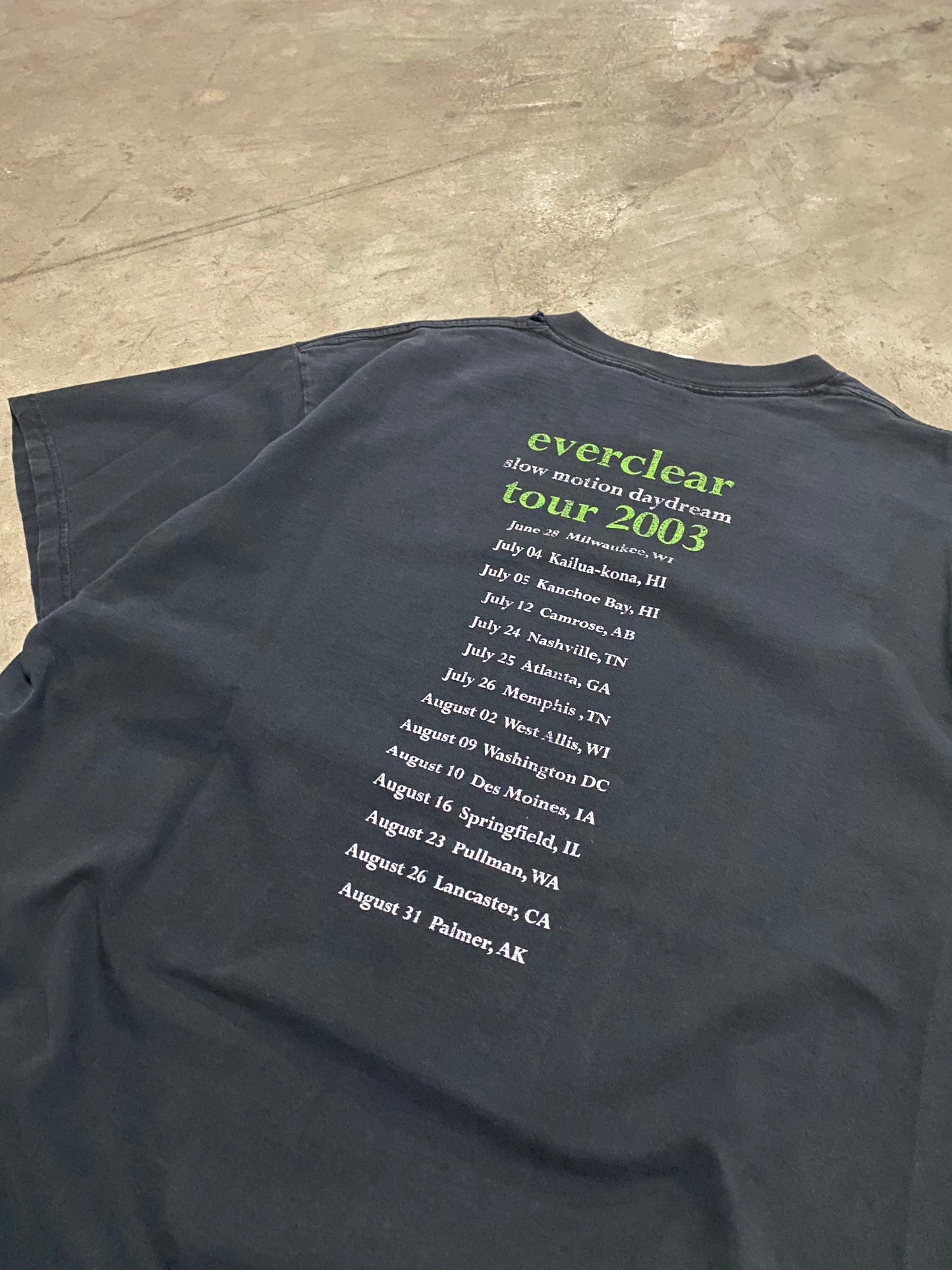 Vintage 2003 Everclear Tour shirt Size XL