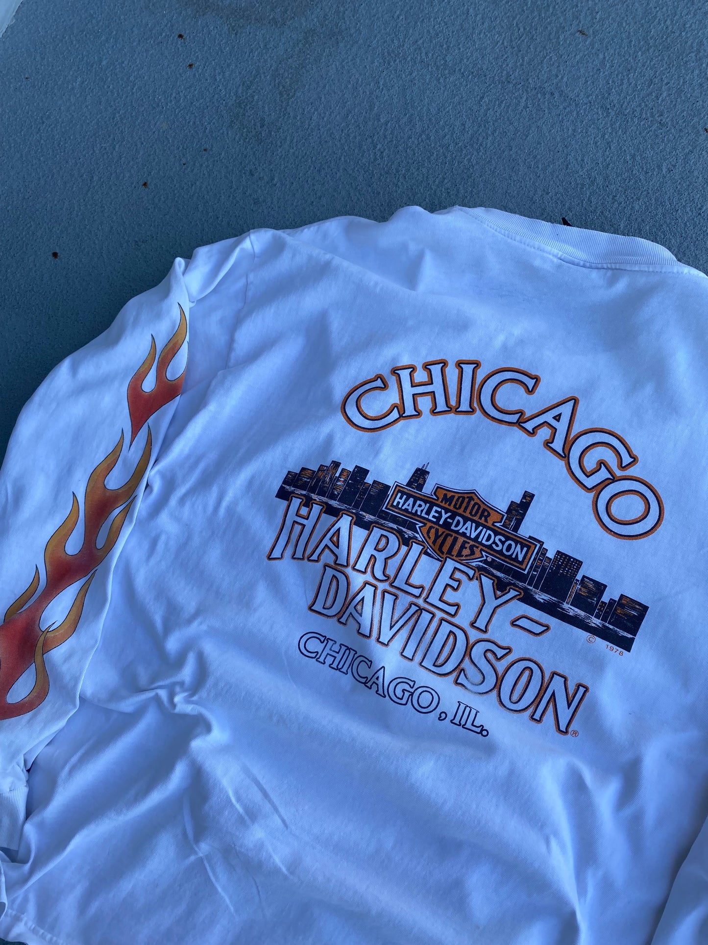 Vintage Harley Davidson Hell on Wheels Long sleeve Size XL