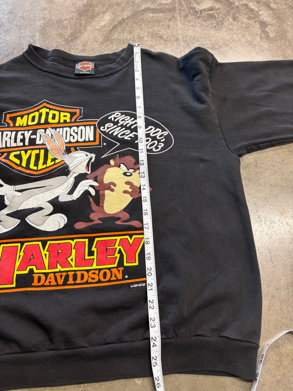 Vintage Harley Davidson looney tunes sweatshirt size large