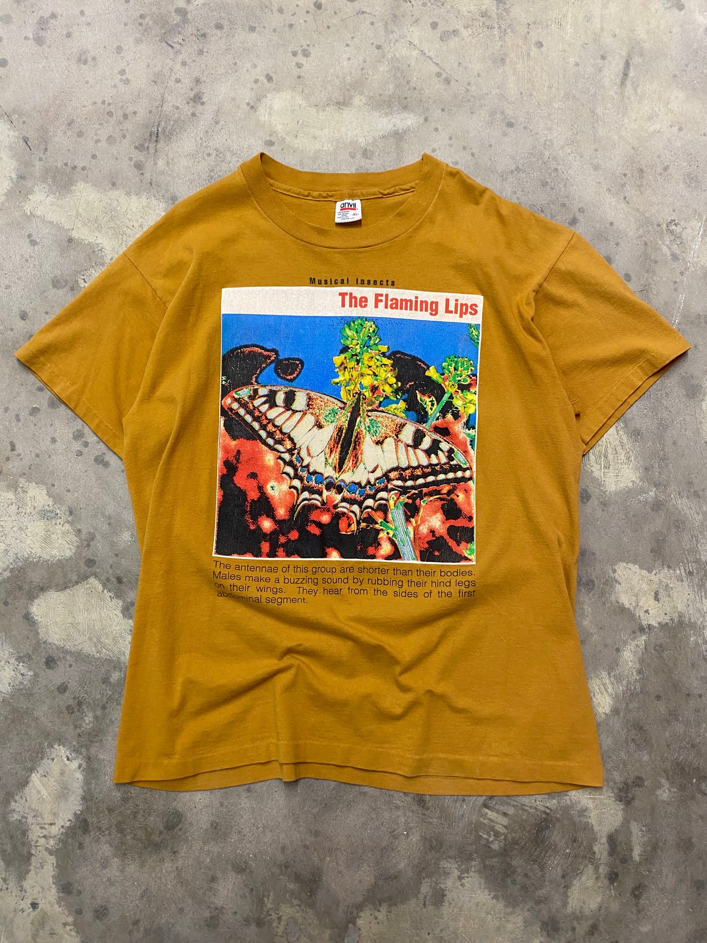 Vintage The Flaming Lips Musical Insects shirt size Extra large