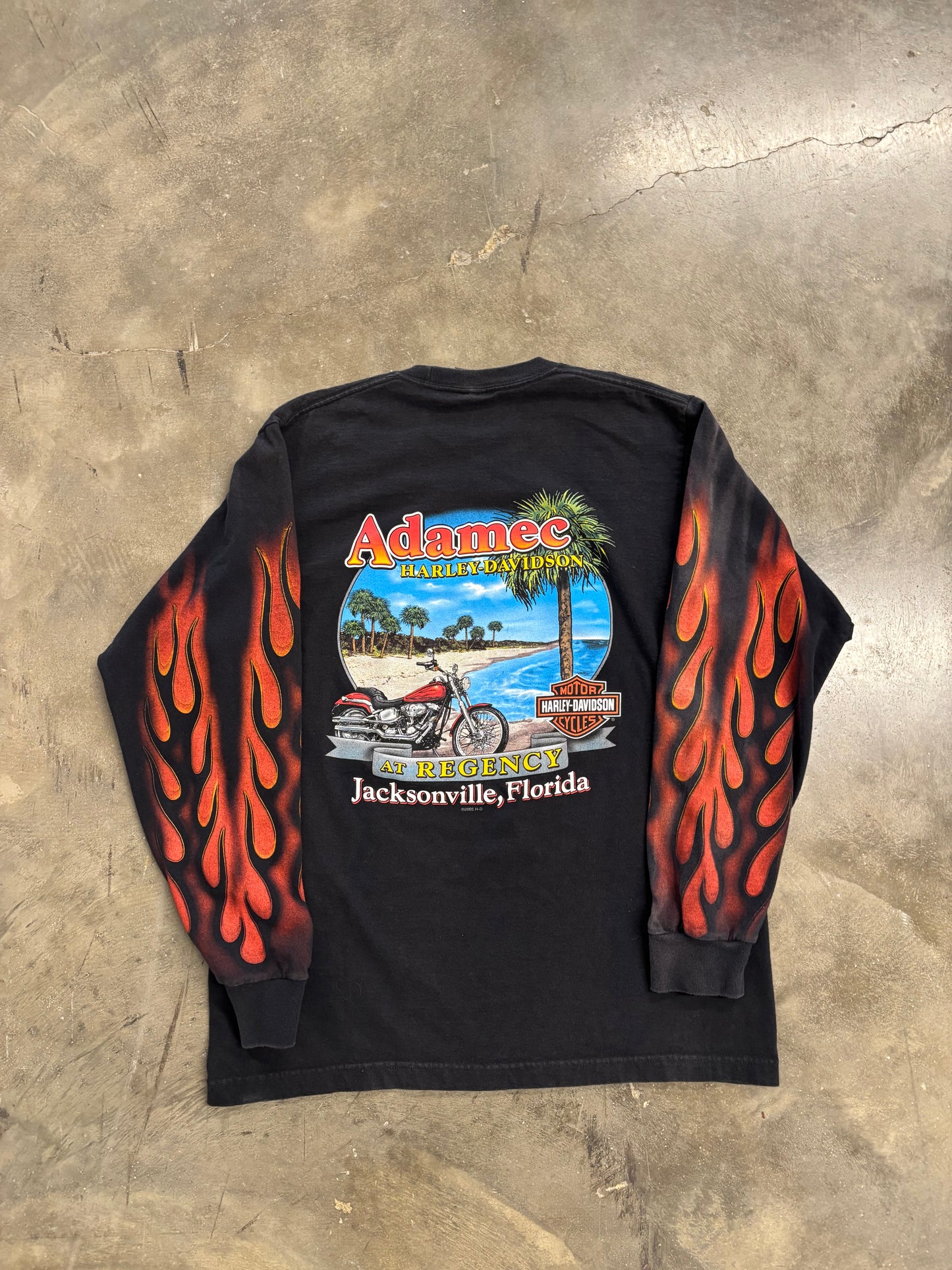 Vintage Harley Davidson Inferno long sleeve size large/xl