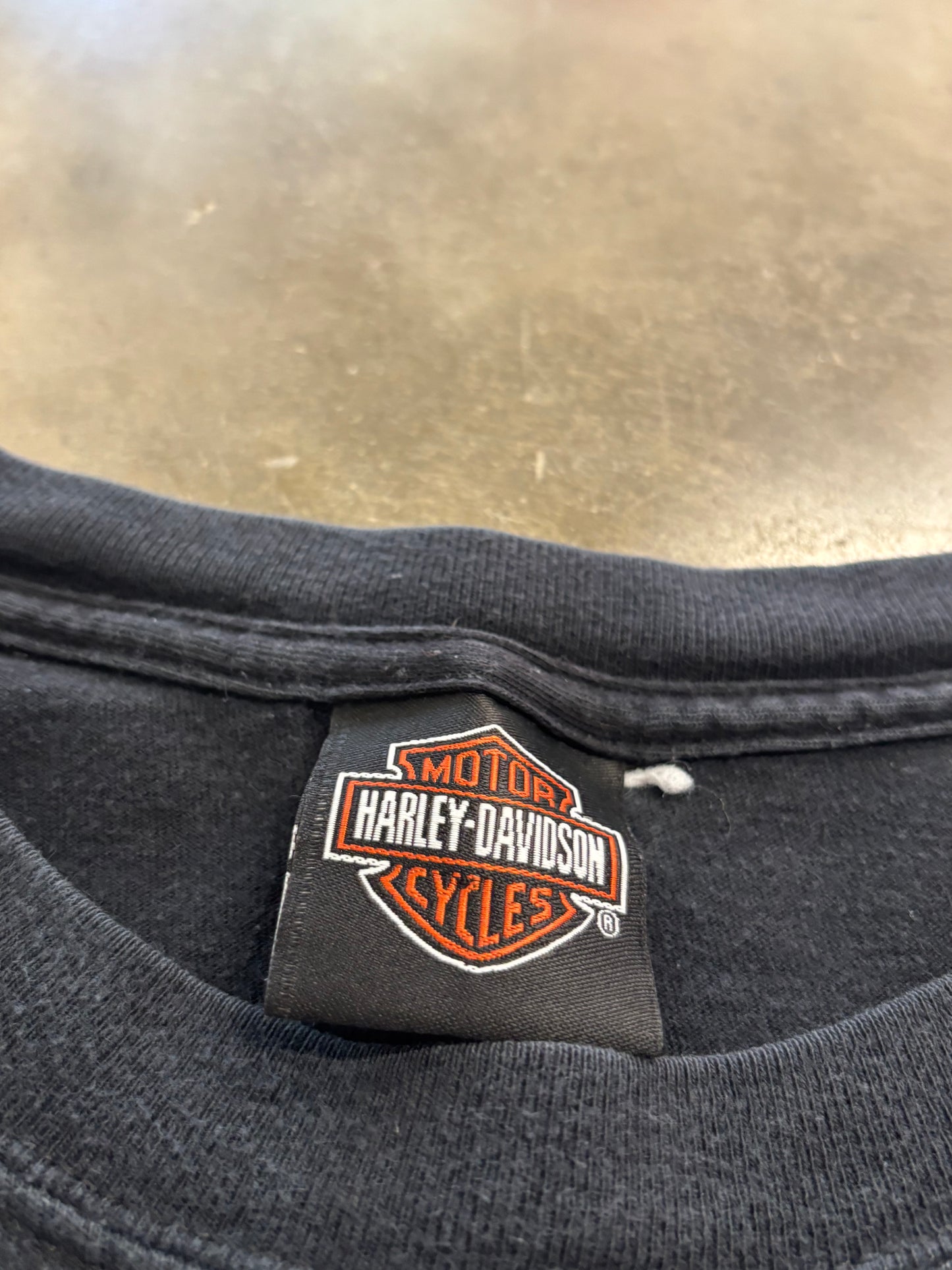 Vintage Harley Davidson Taz looney tunes flame long sleeve size xxl