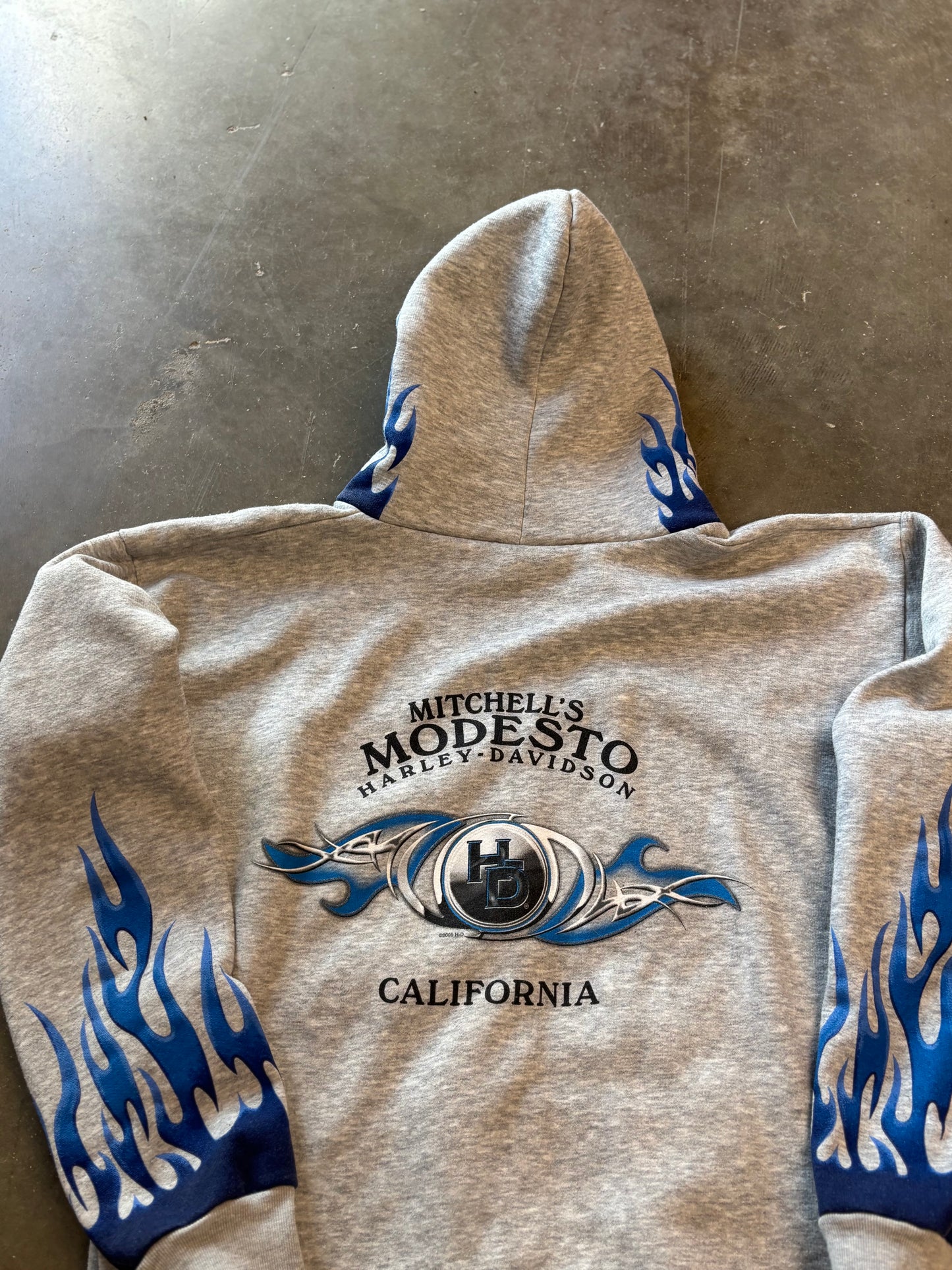 Vintage Harley Davidson Blue flame zip up size large