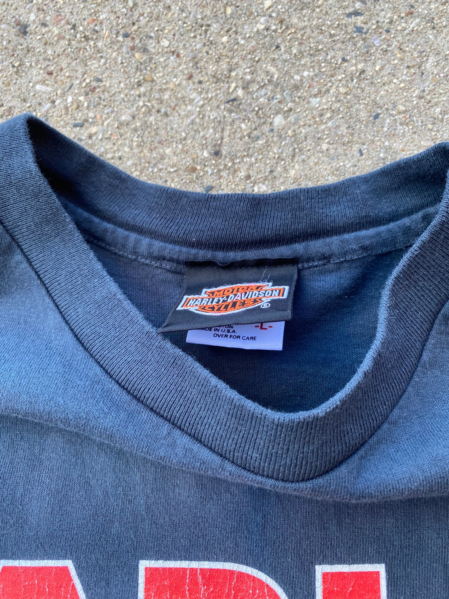 Vintage Harley Davidson Rainbow Long sleeve shirt size large