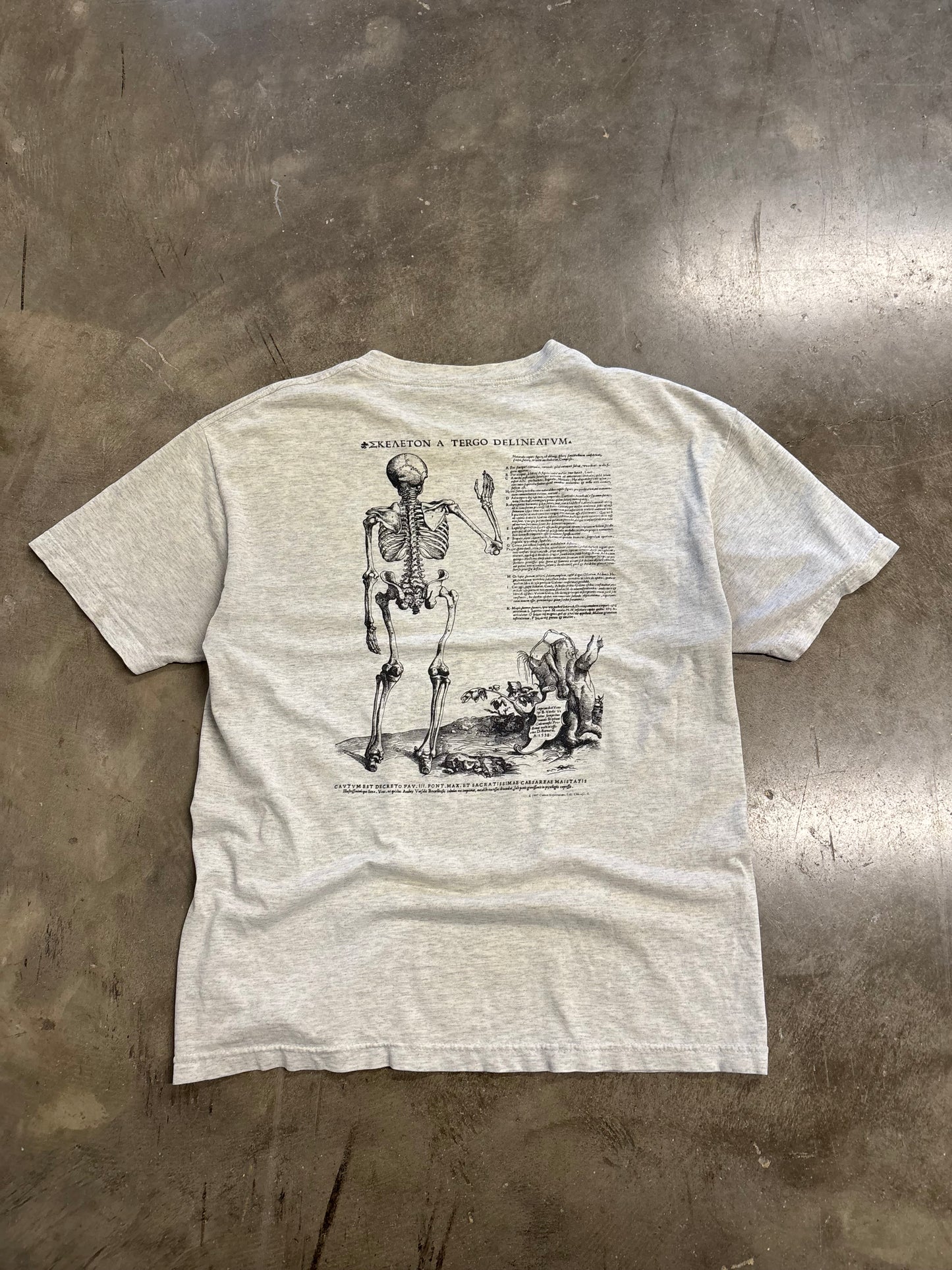 Vintage Anatomy shirt size large