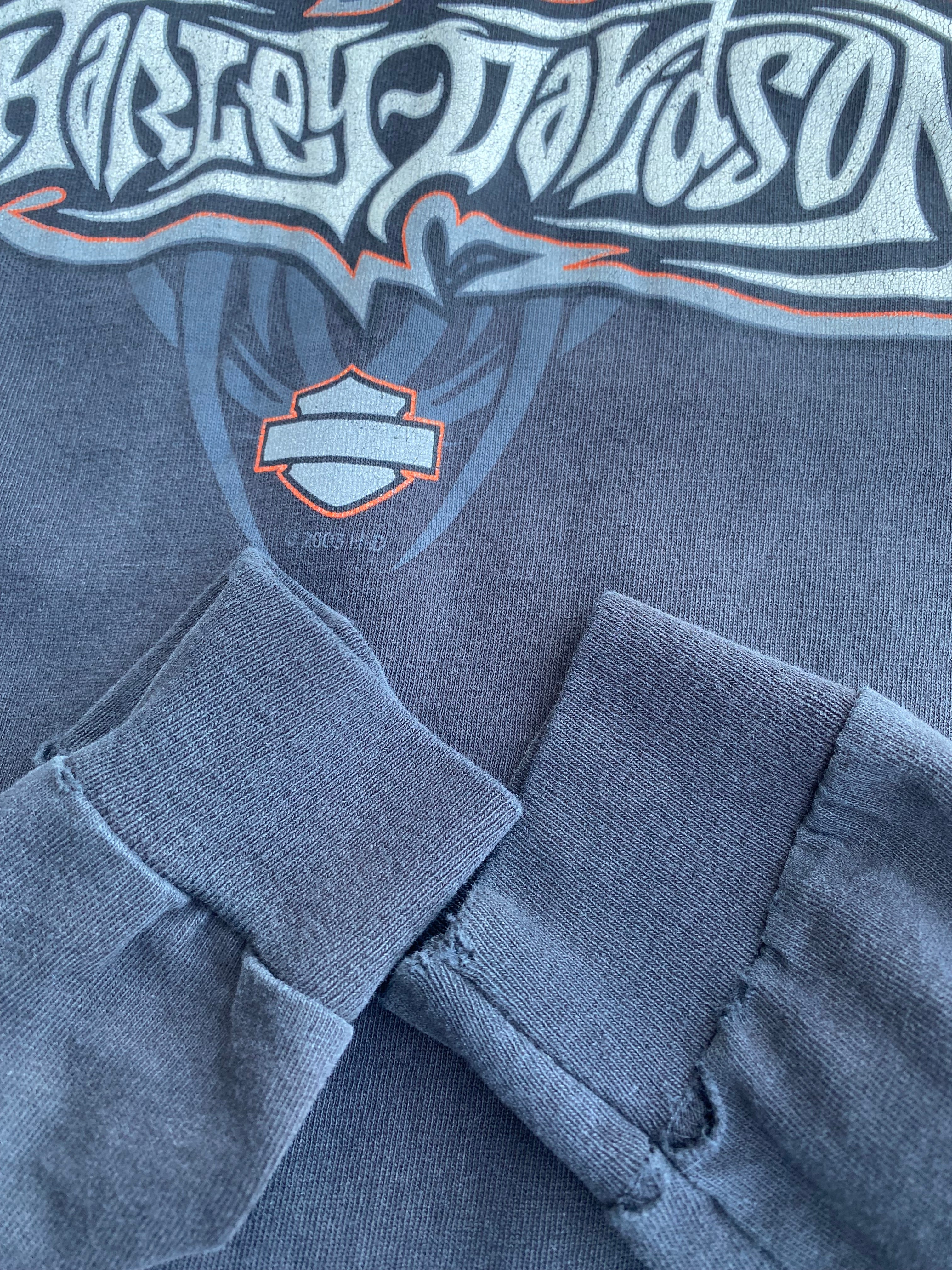 Harley-Davidson スパイダー　long sleeve Vintage Harley Davidson Spider Web long sleeve shirt size