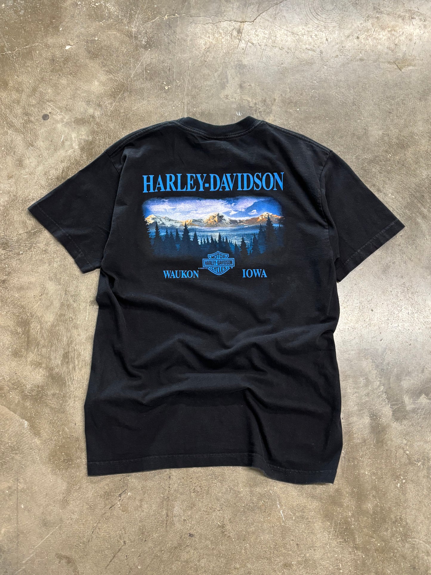 Vintage Harley Davidson if I have to explain shirt size large
